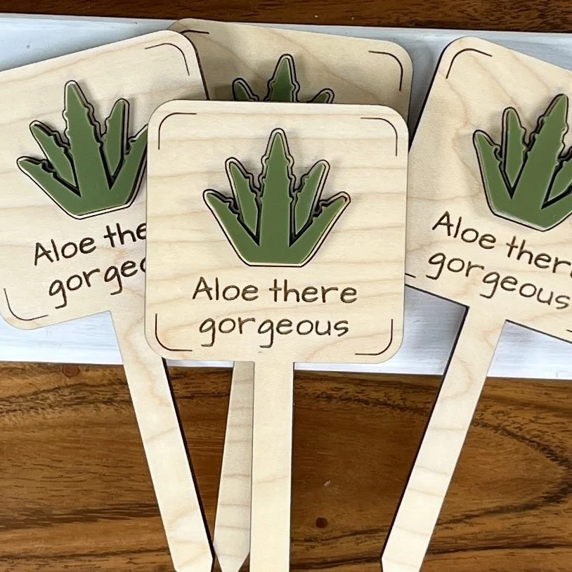 flat lay maple plant stake featuring an acrylic aloe plant embellishment engraved with the phrase "Aloe there gorgeous".