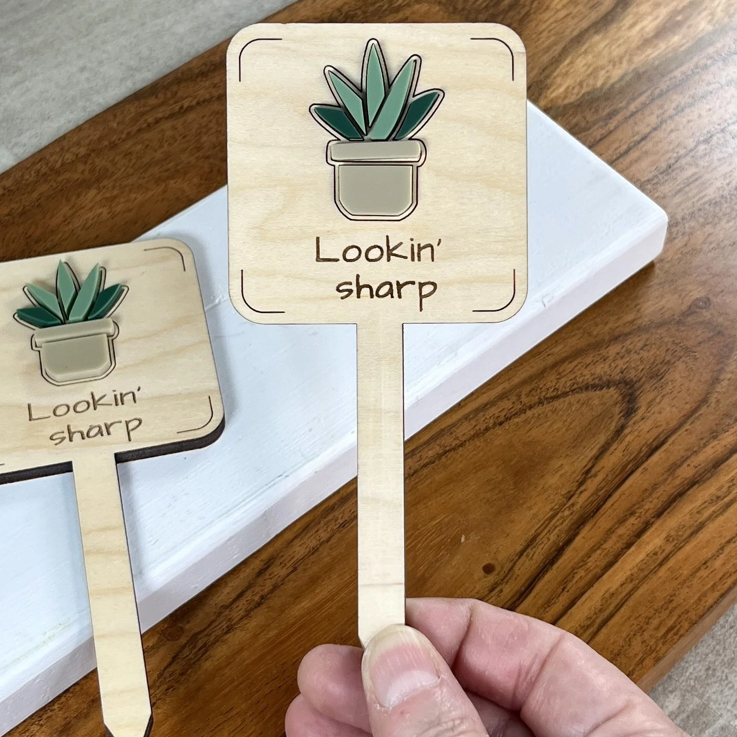 handheld maple plant stake featuring a potted spider plant embellishment engraved with the phrase "Lookin’ sharp".