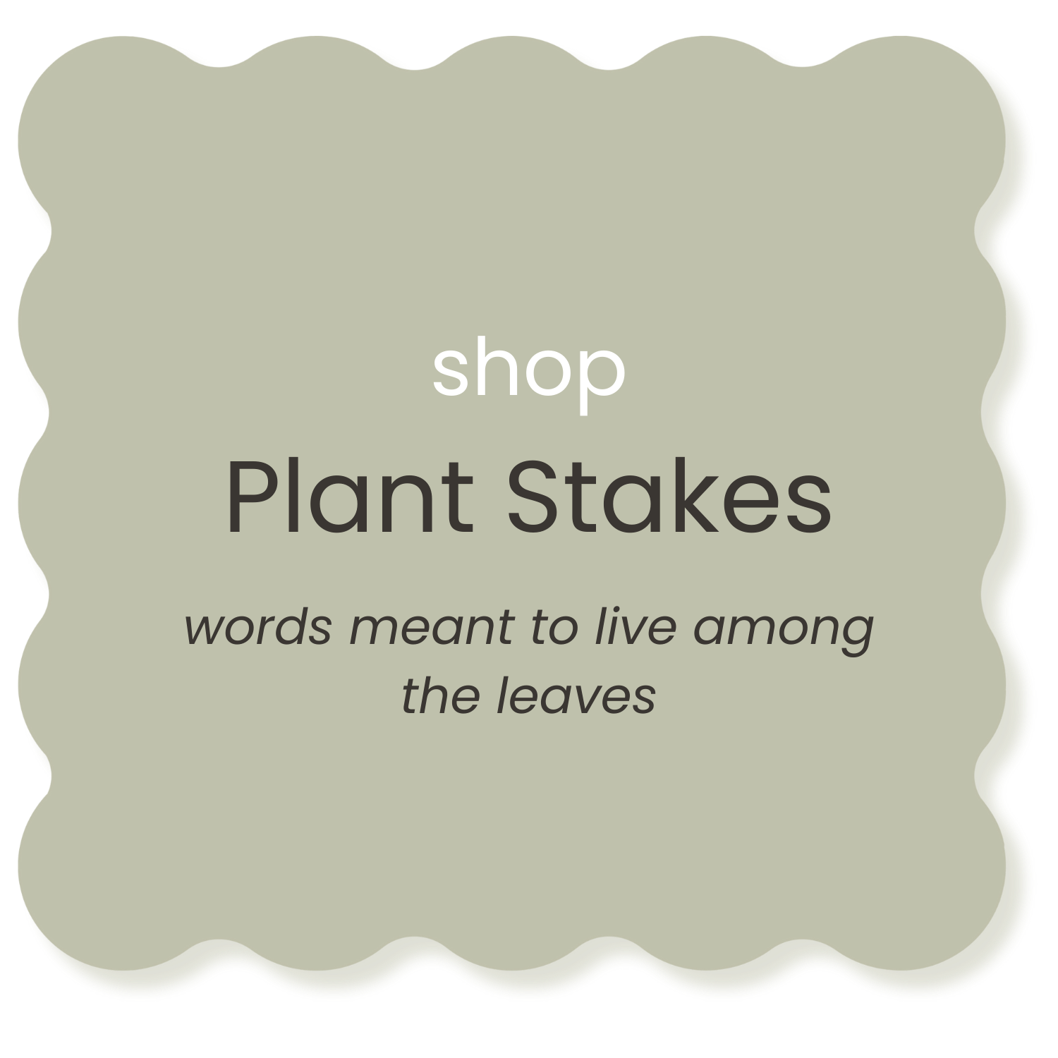 A decorative sign with scalloped edges, featuring the words 'shop Plant Stakes' and the phrase 'words meant to live among the leaves' beneath.