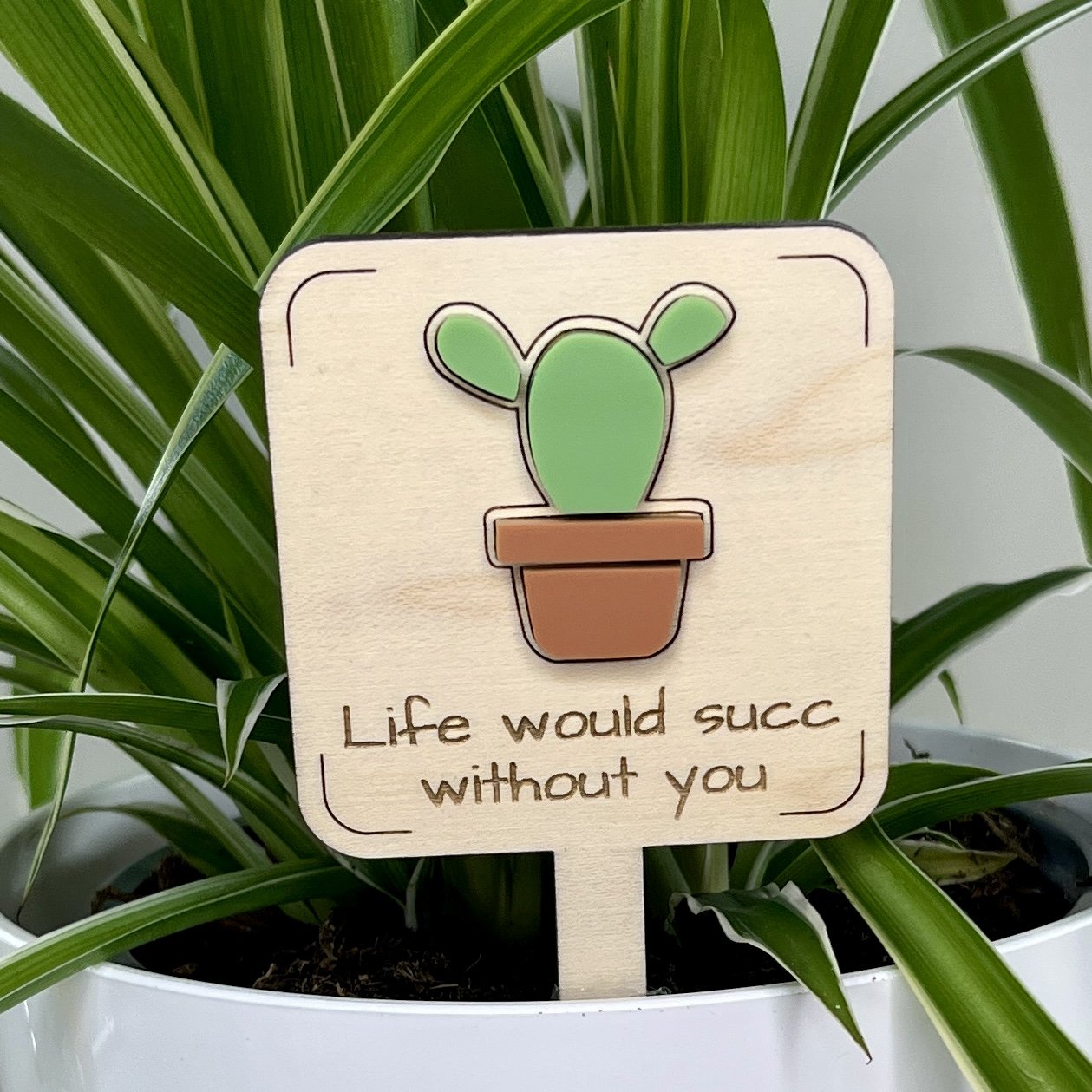 Life Would Succ Plant Stake