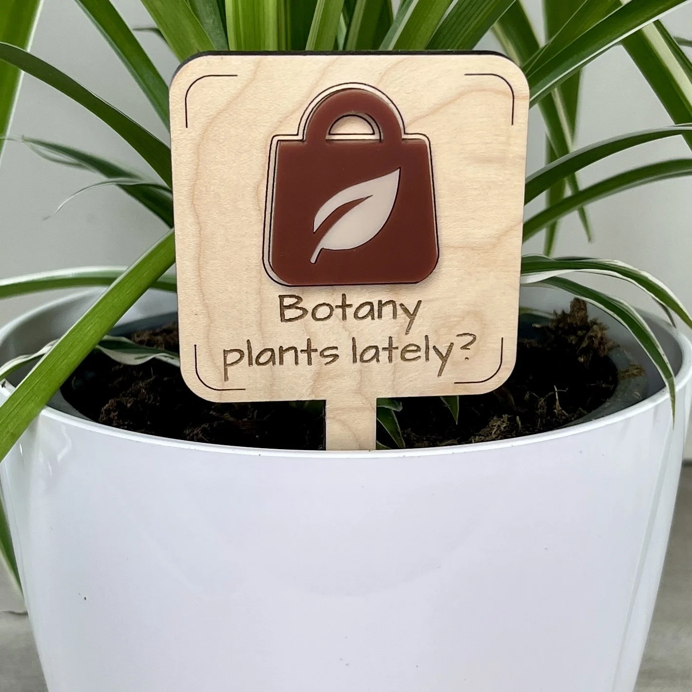 Botany Plants Lately Plant Stake