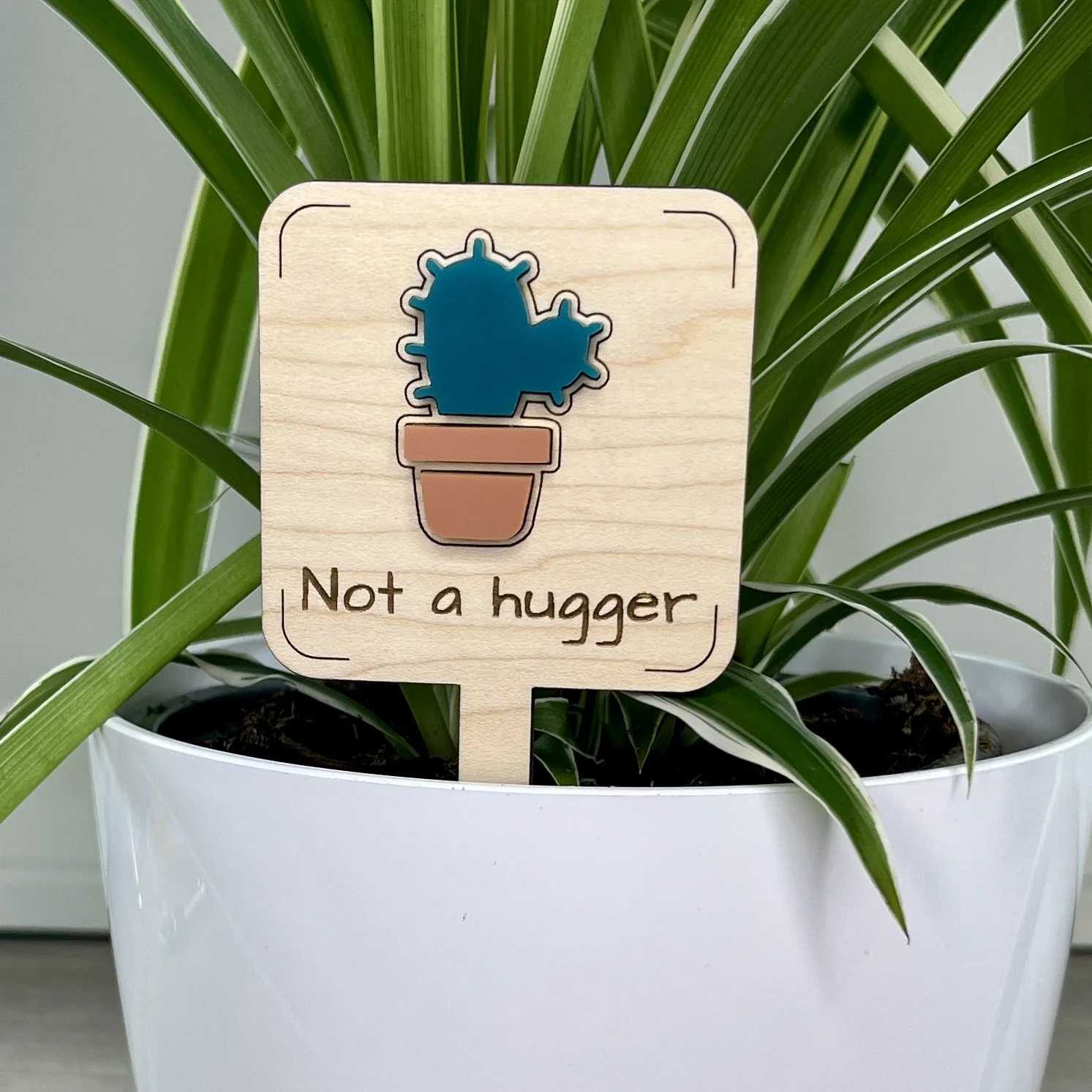 Not a Hugger Plant Stake