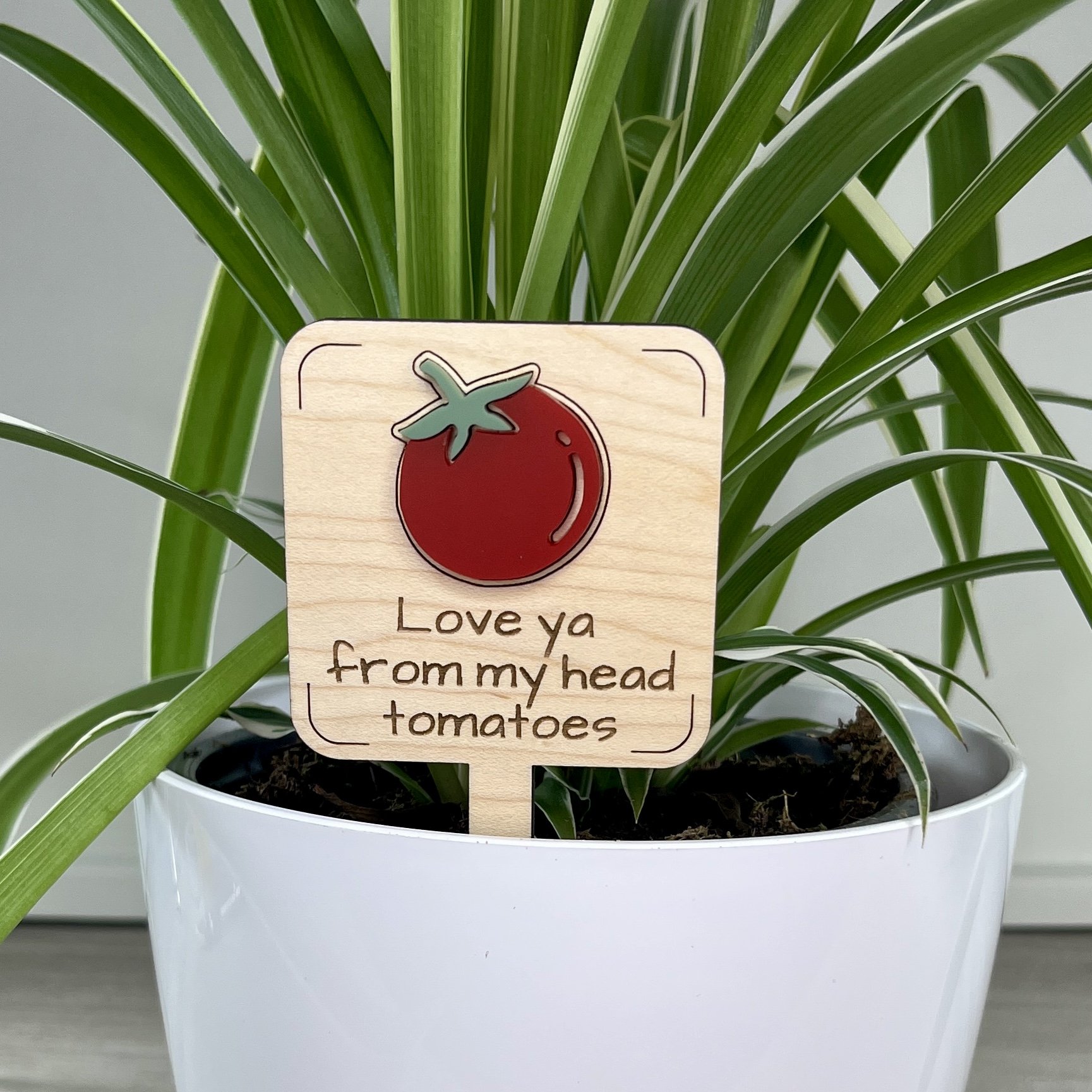 From My Head Tomatoes Plant Stake