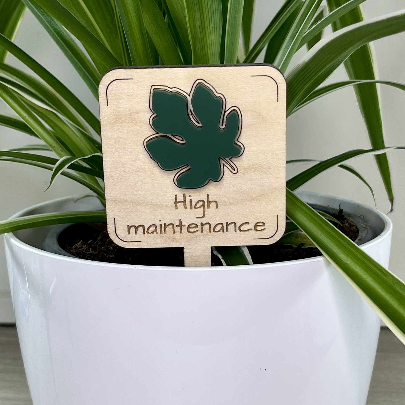maple plant stake displayed in a potted houseplant featuring an acrylic tropical leaf embellishment engraved with the phrase "High Maintenance".