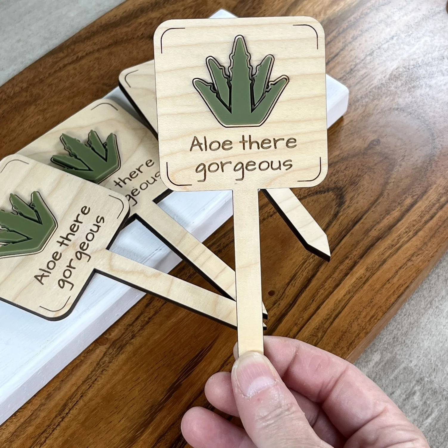 handheld maple plant stake featuring an acrylic aloe plant embellishment engraved with the phrase "Aloe there gorgeous".