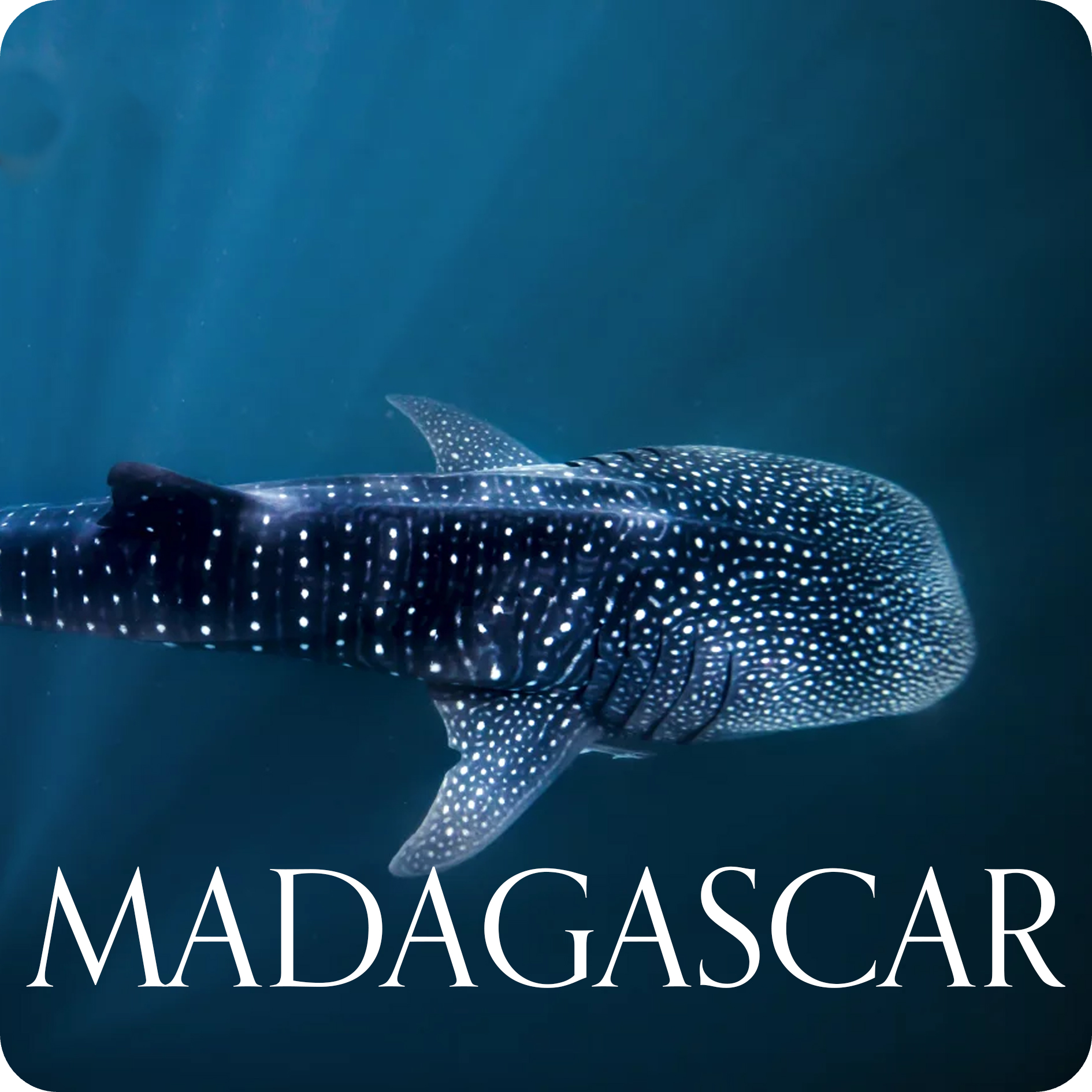 VIAGGIO NATURALISTICO MADAGASCAR