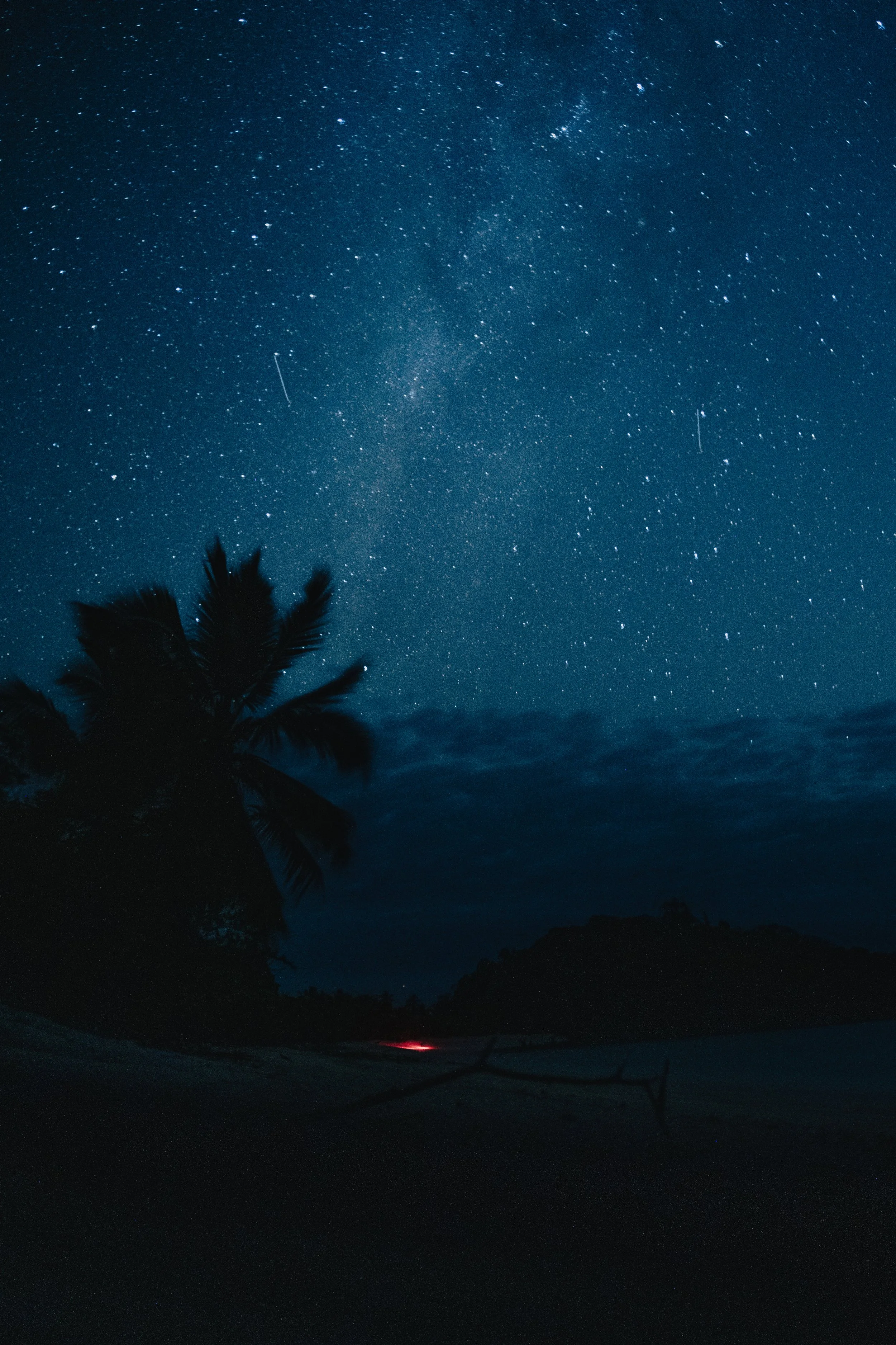 Cielo notturno stellato sopra una spiaggia con palma e una lucina rossa in lontananza.