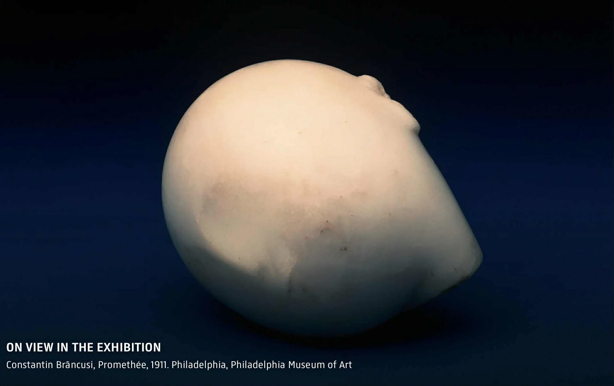 2026 cultural în Țările de Jos