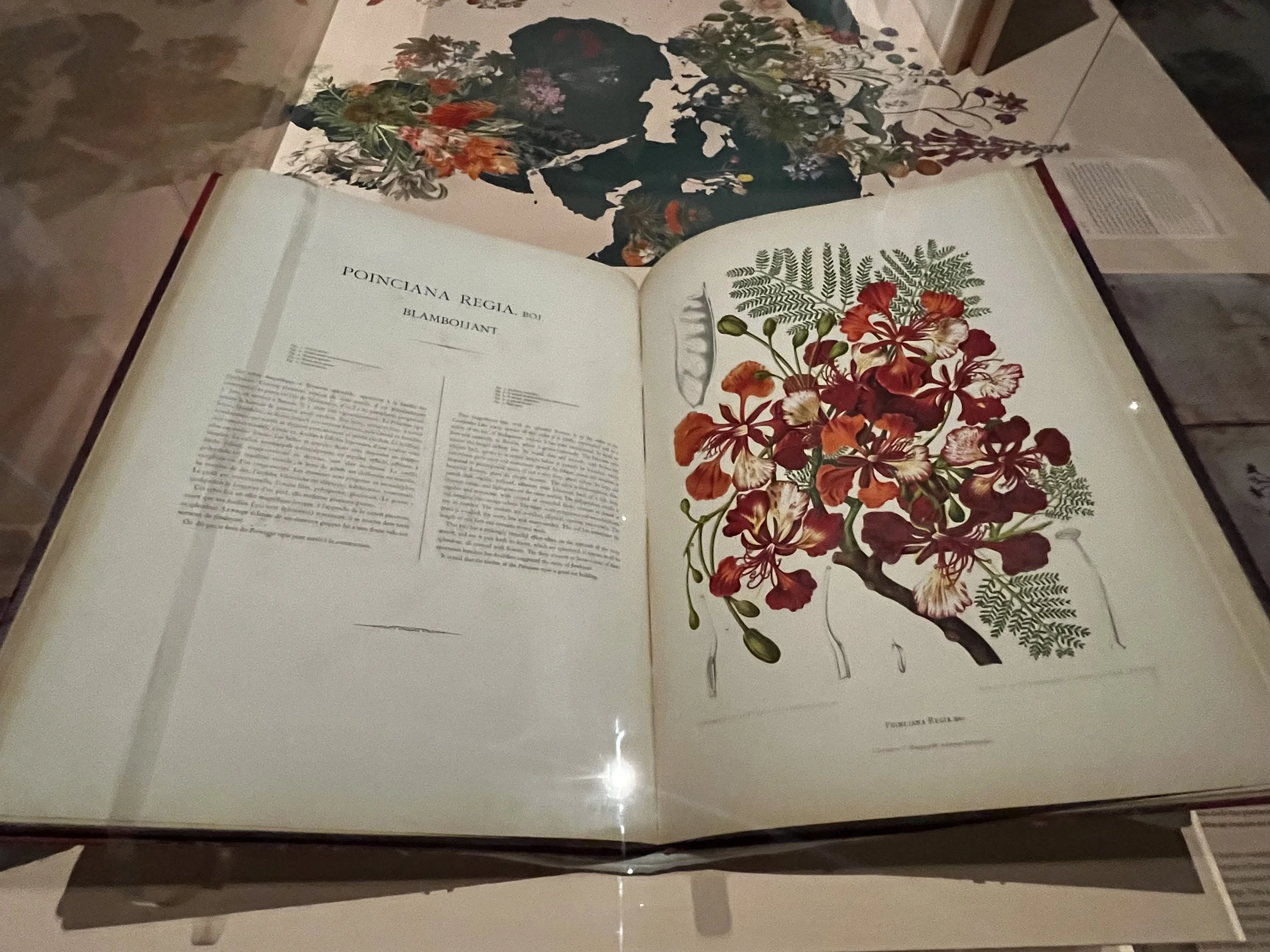 Florile înseamnă viată