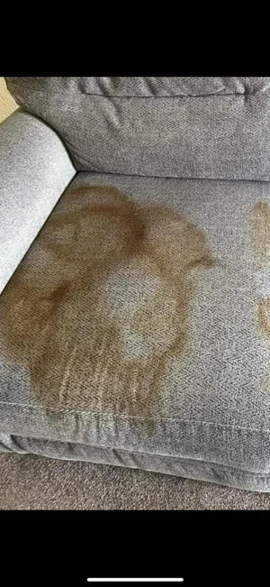 Click here to view some of our amazing cleaning transformations