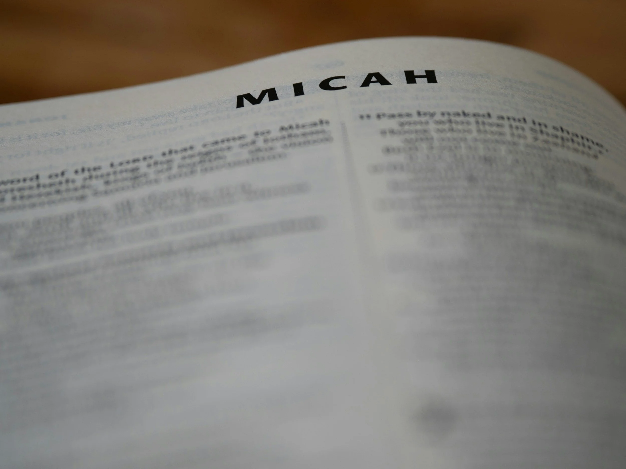 Micah 6:8