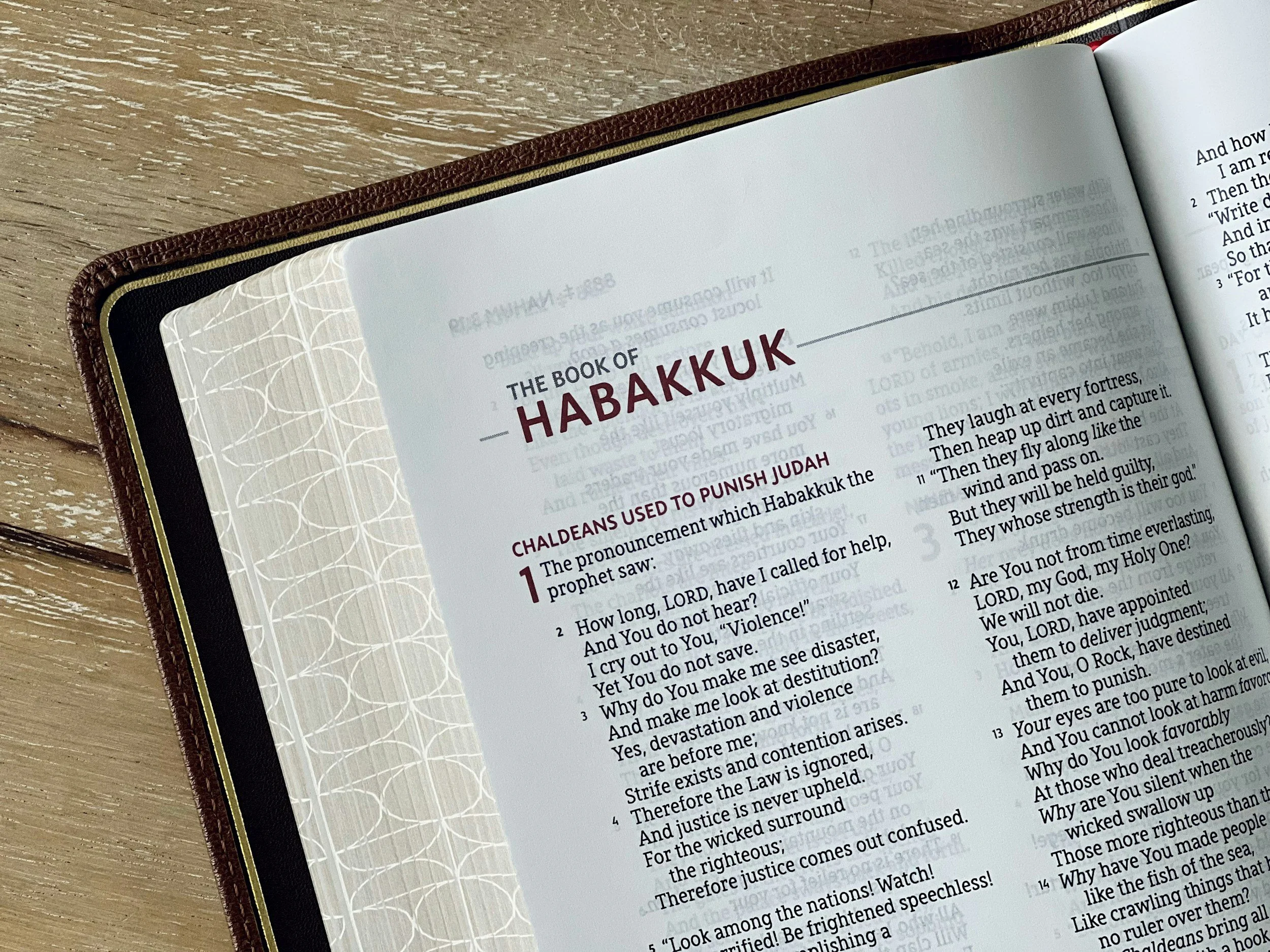 Habakkuk 2:6-2:20