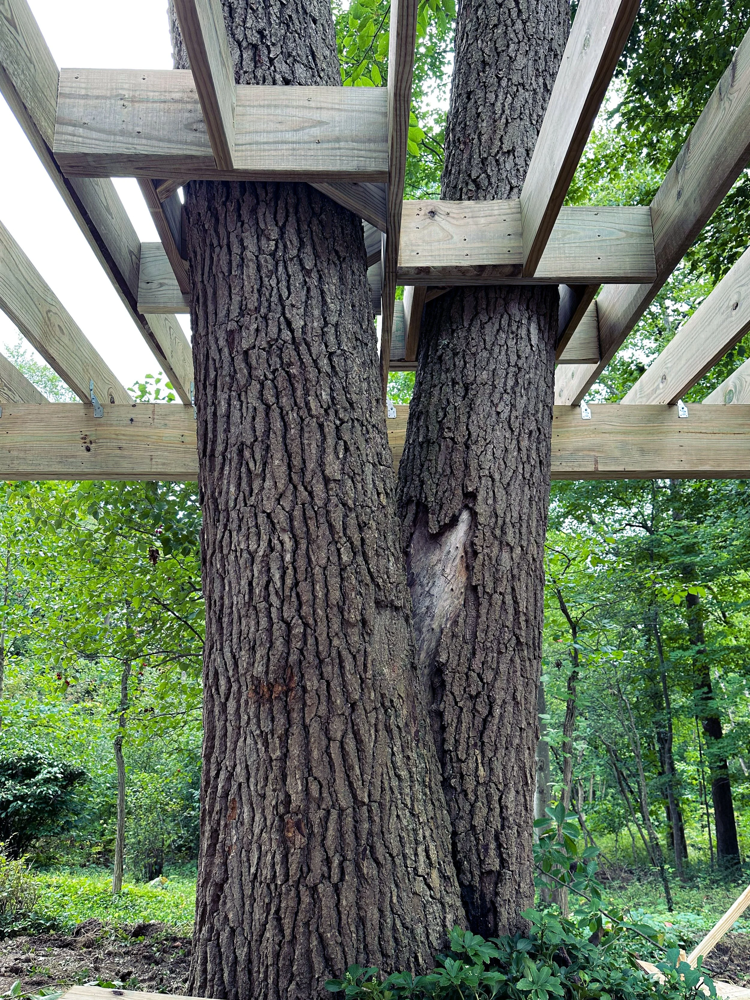 chagrin deck 005.jpg