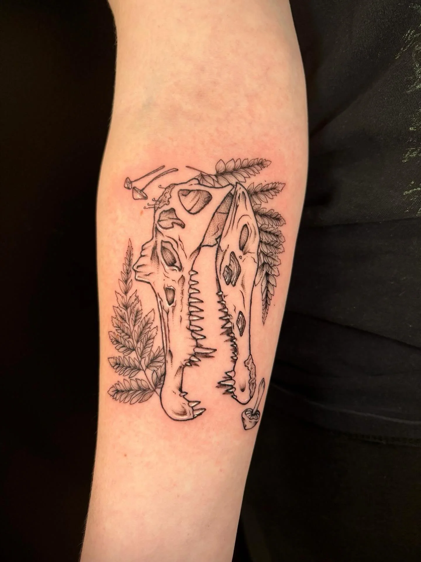 Spinosaurus skull for Alex&rsquo;s first tattoo! 
It was great to meet you &amp; to chat endlessly about our nerd hobbies! 🦕🏰🎨