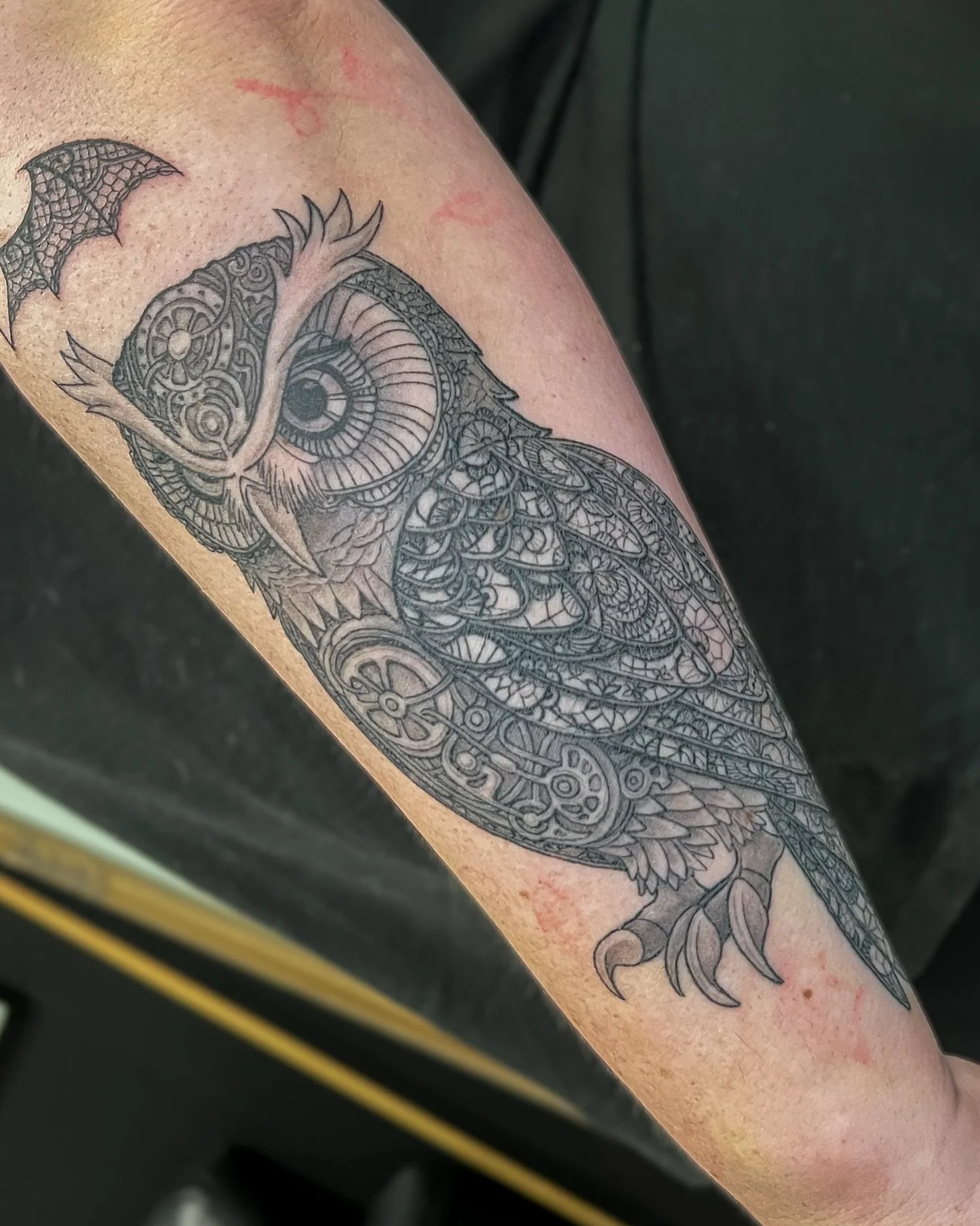 HEALED lace + steam punk owl

#tattoo #shelburnetattoo #owltattoo #laceowltattoo #lacetattoo