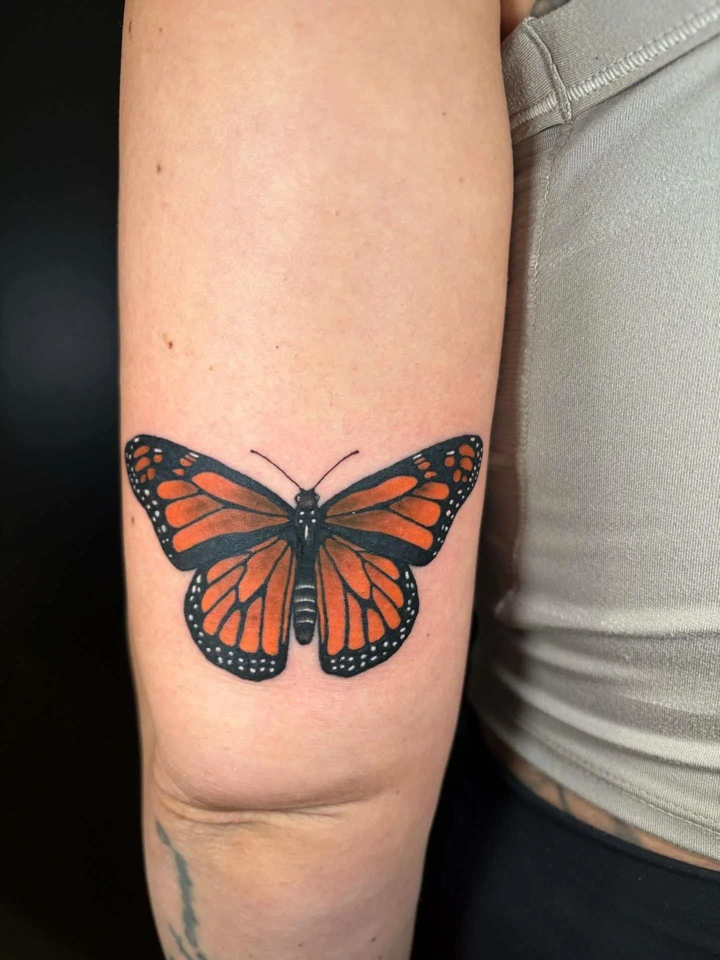 A very special Monarch 🧡 
Chantelle shared the joy of her butterfly nursery with me this summer by bringing a chrysalis to her tattoo appointment. A couple days later I had the beautiful moment of witnessing it emerge before release. ✨
(Gloria also 