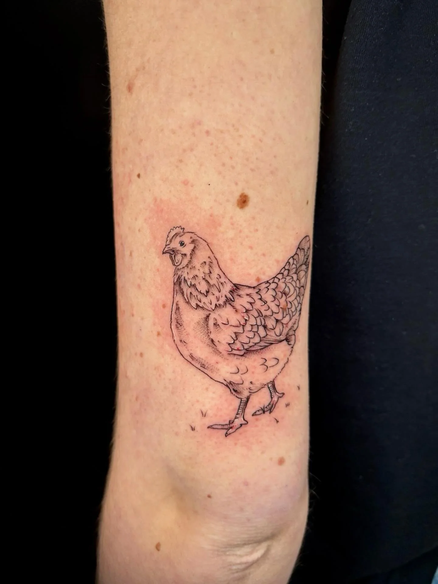 Cutie little Chicken for Paige! 🐓