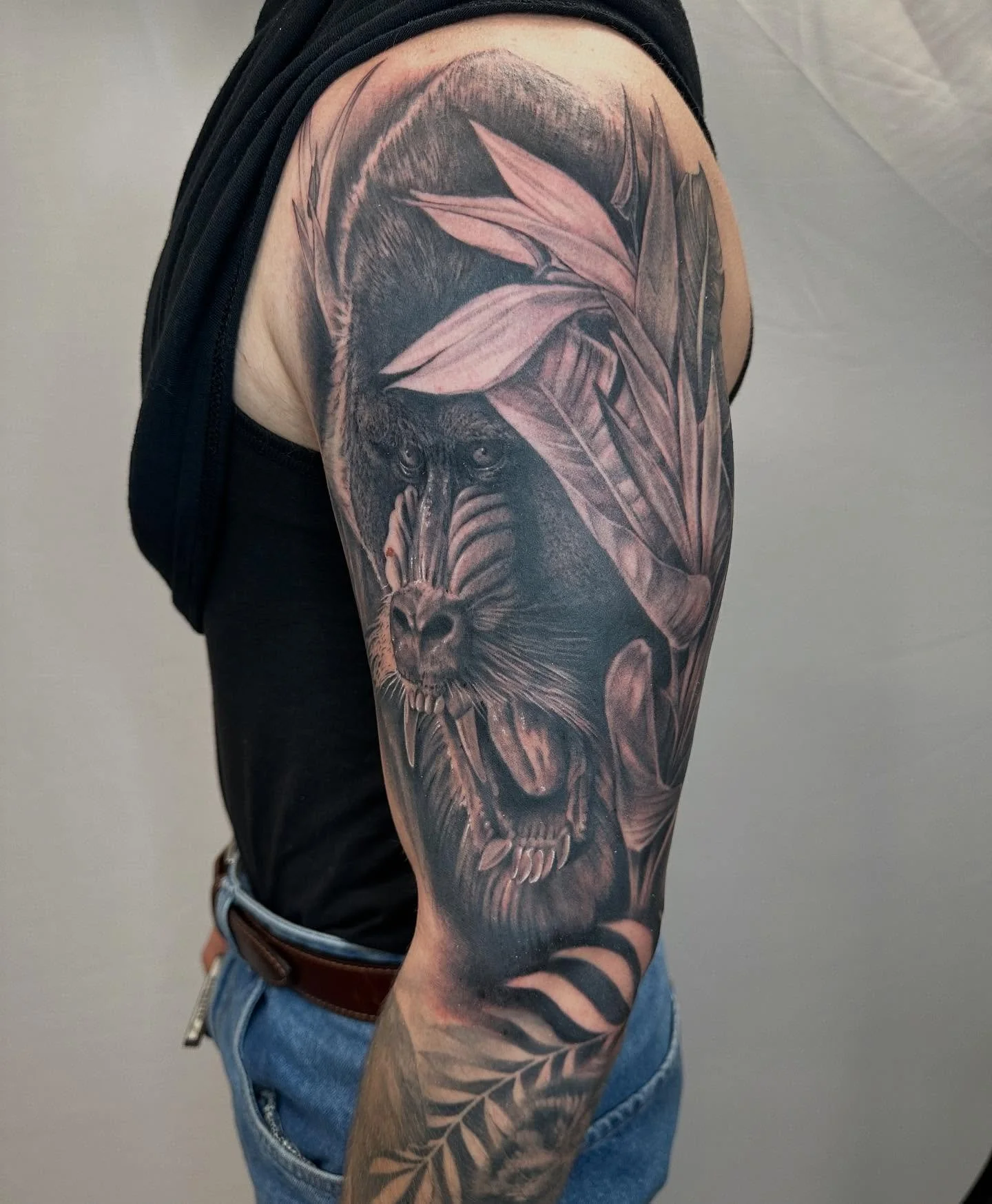 It&rsquo;s not often you get asked to do a tattoo of a Mandrill, so fun thanks @itzkrug_  #tattoo #blackandgreytattoo #mandrilltattoo #junglesleeve @lovealwaystattoos