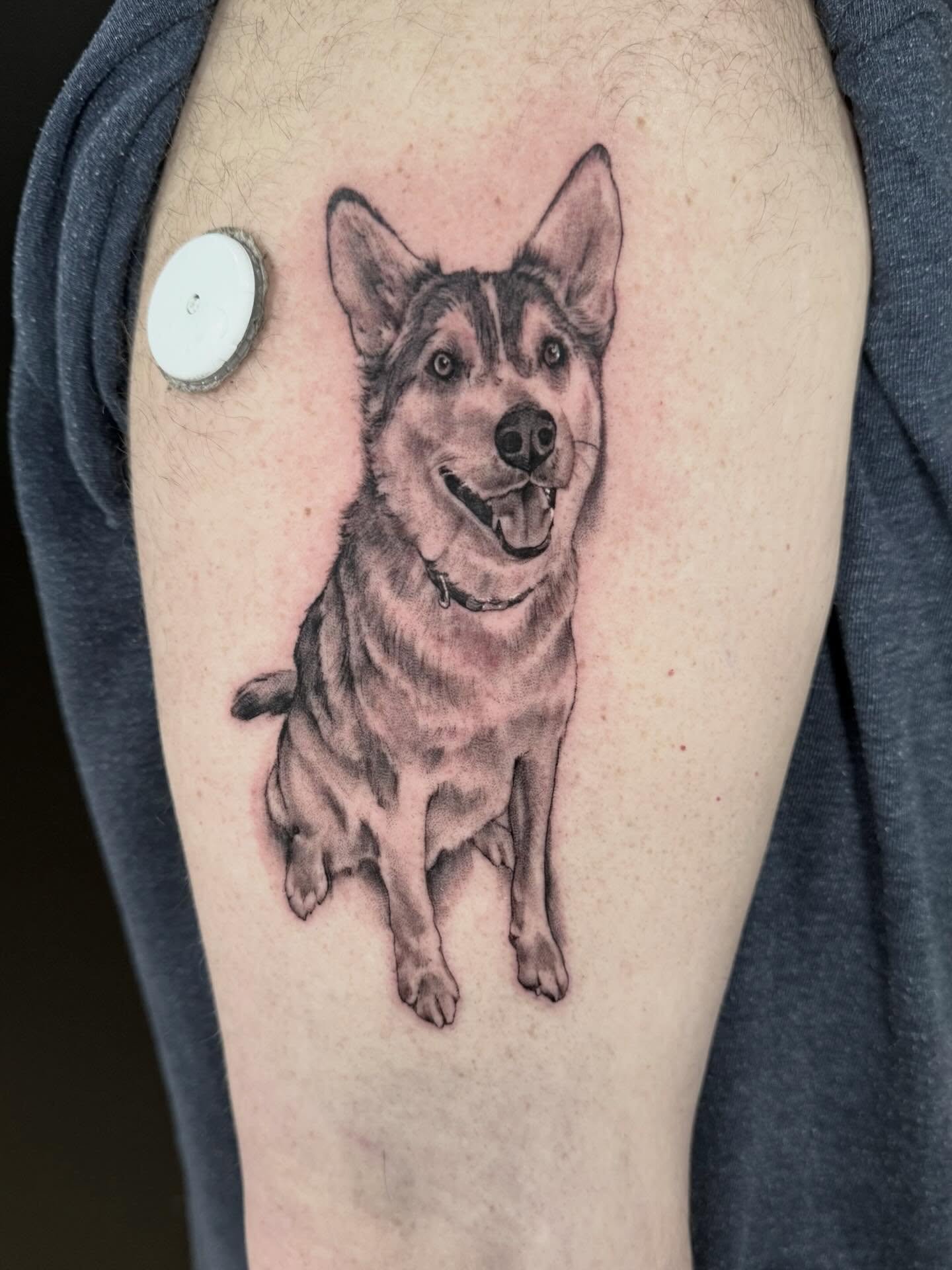 ✨Koba✨ Thankyou so much Jonny!