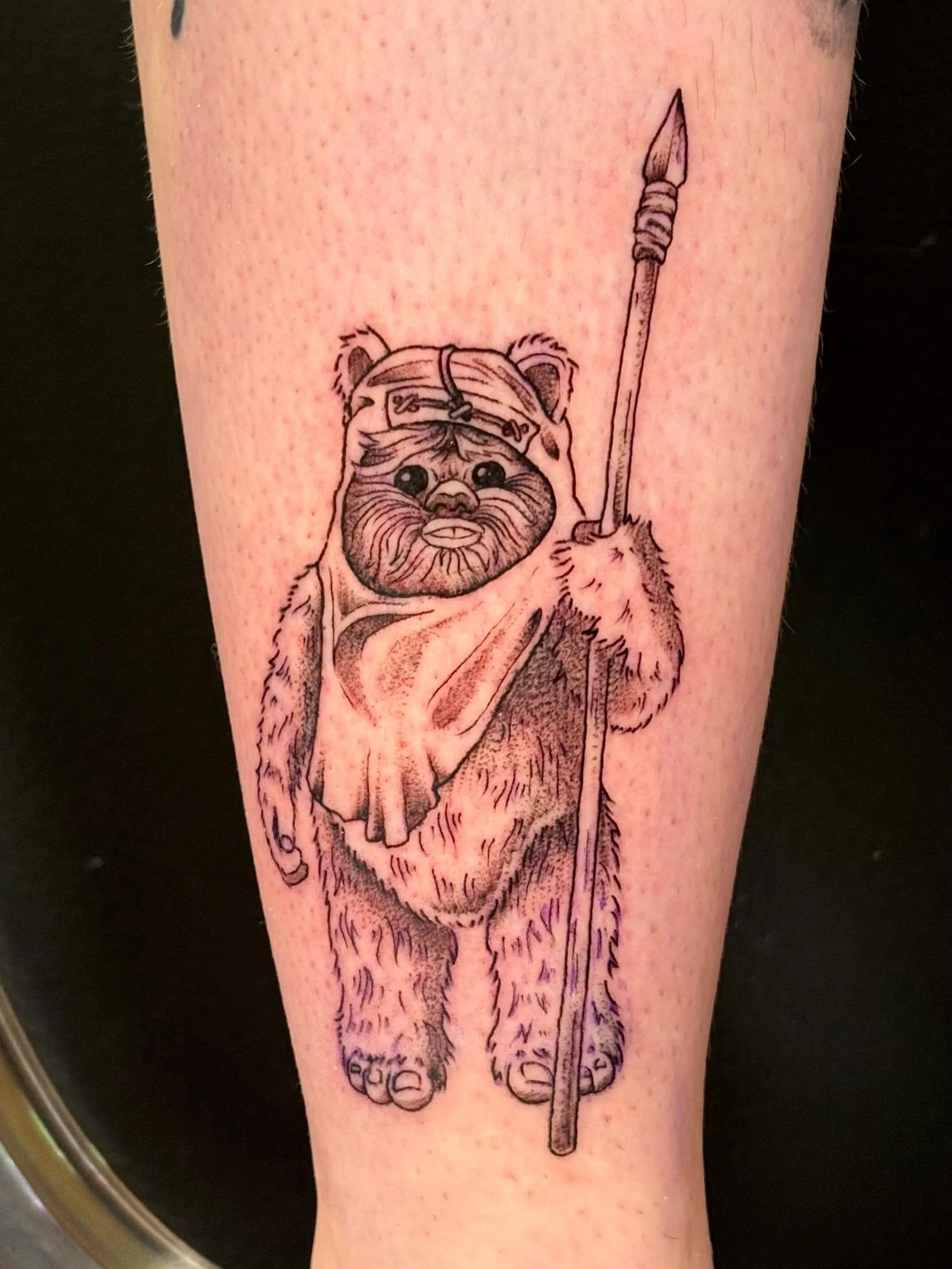Wicket W. Warrick for my darling sister 🐻