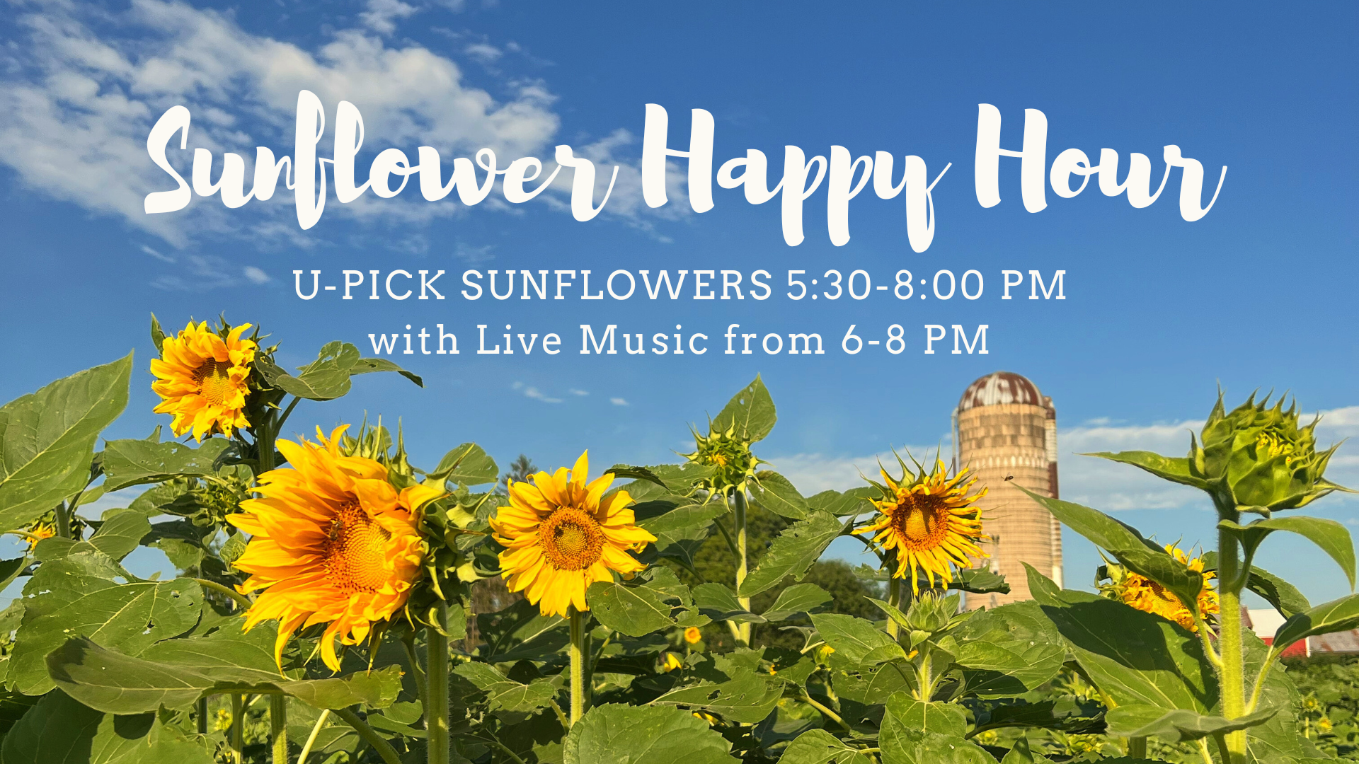 Sunflower Happy Hour