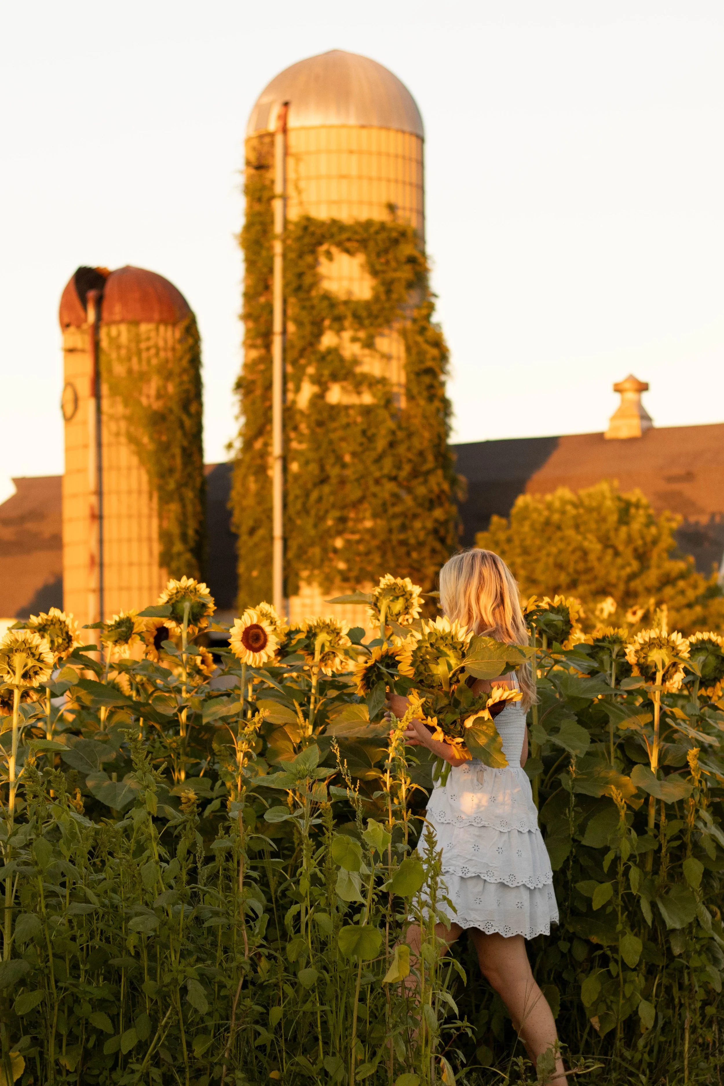 Sunflowersendoff-0031_Original.jpg