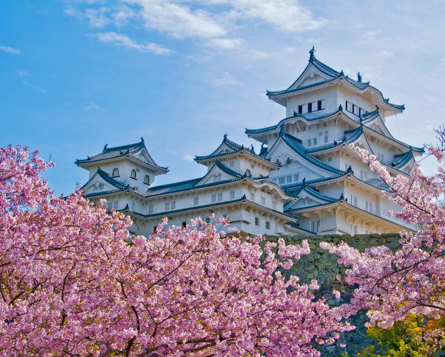 Beautiful cherry blossom season, never gets old. Join Silversea on a sailing to Japan to see this once-in-a-lifetime beauty blooming.​

To learn more contact lucas@uponatrip.com.

#onceauponatrip
