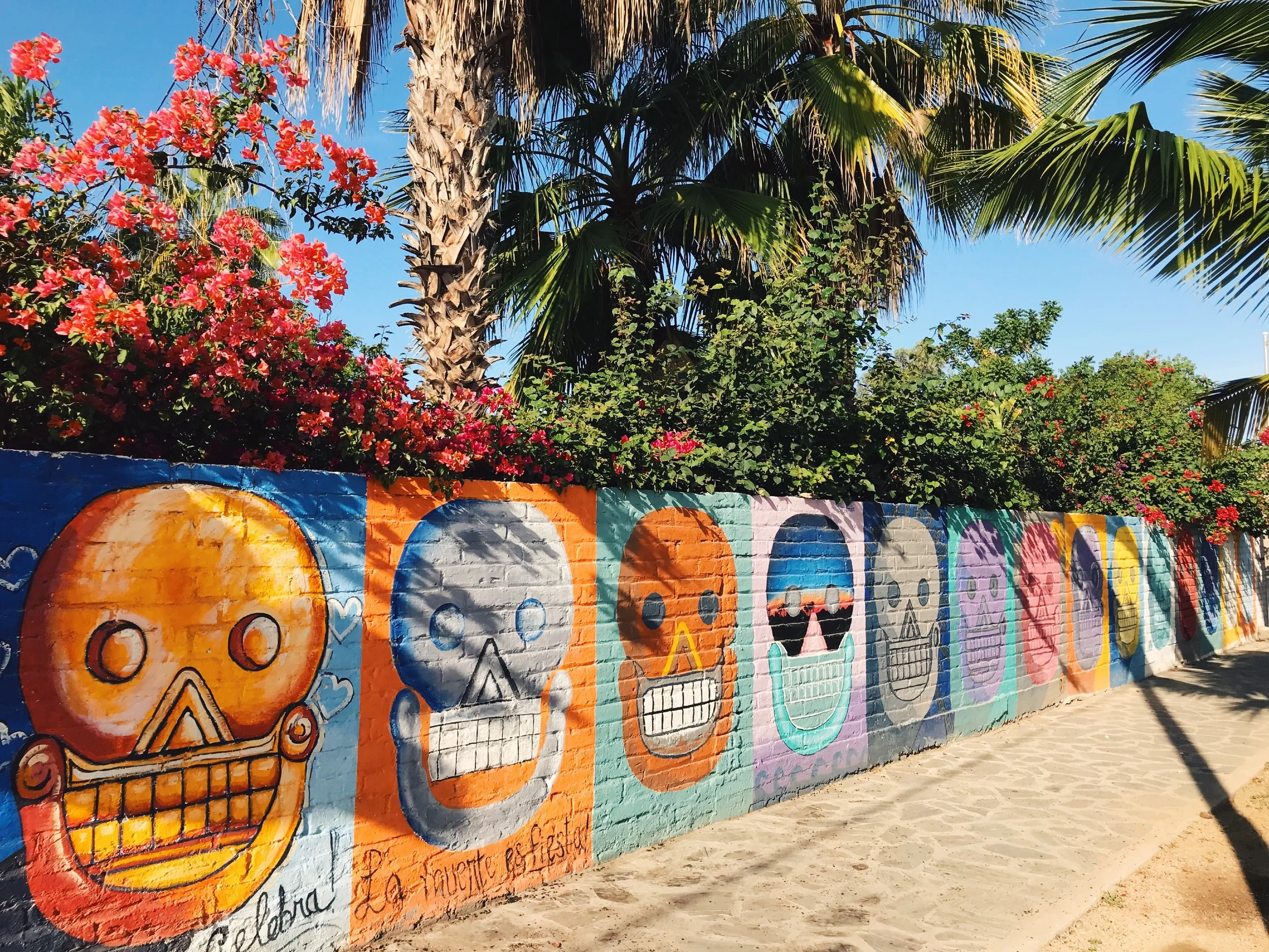 Copy of IMG_0703.JPG