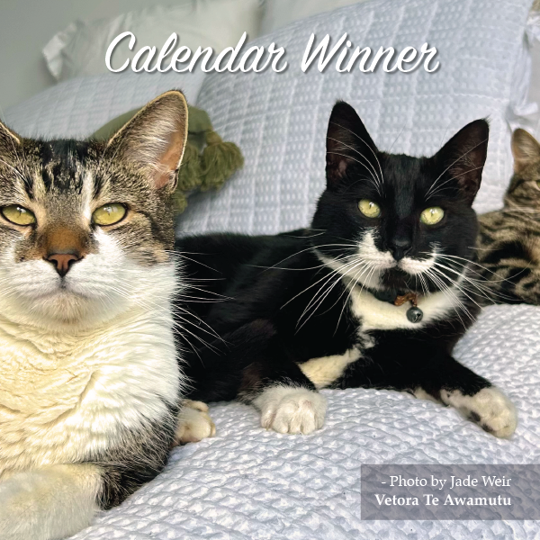 Calendar Winners 2026 Low res-12.png