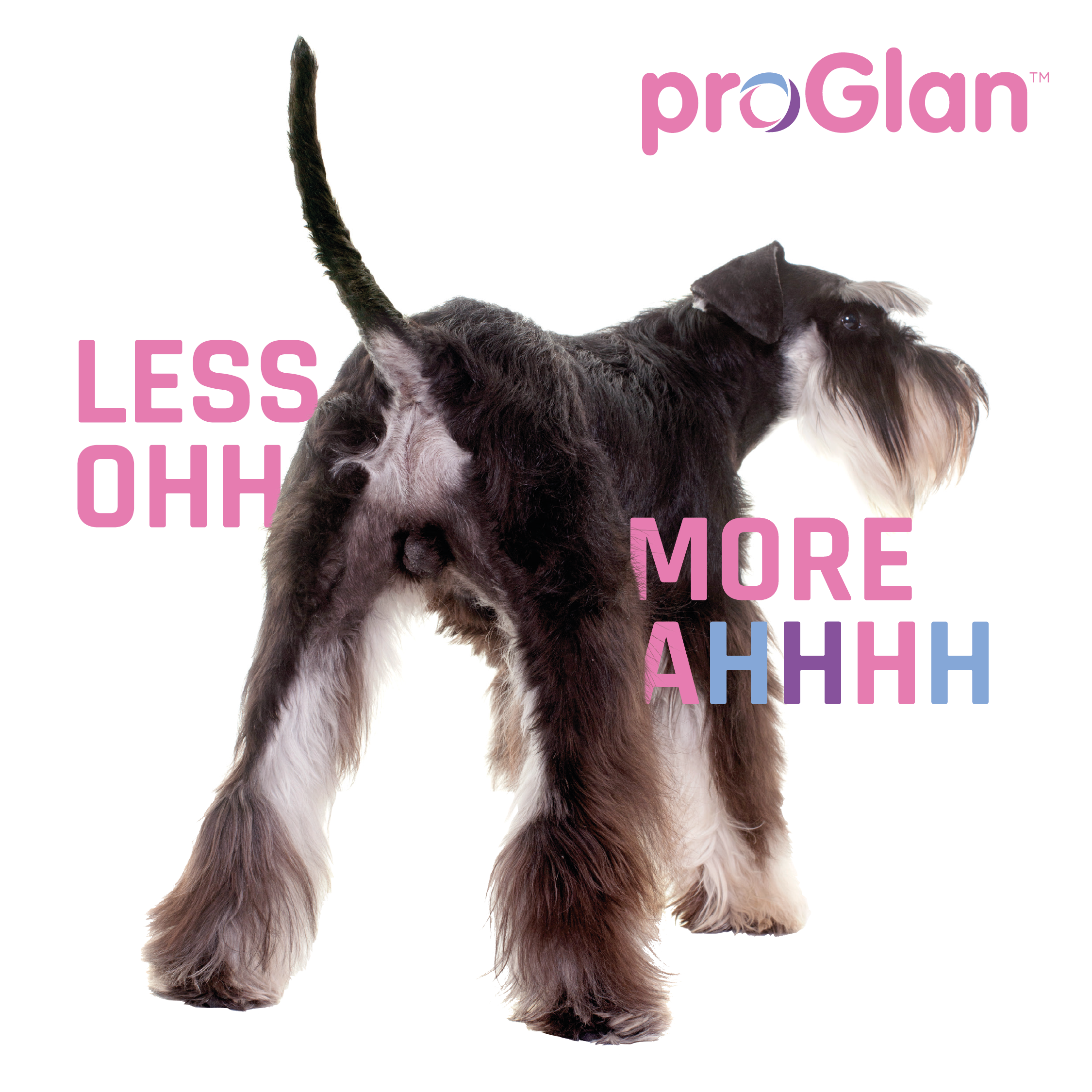 Facebook Tiles ProGlan-01.png