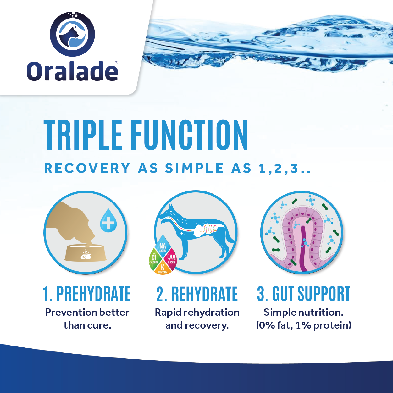 Oralade Tiles-03.png