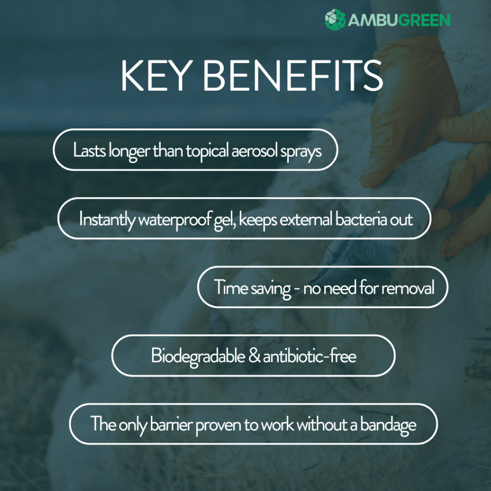 Ambugreen Key Benefits.png