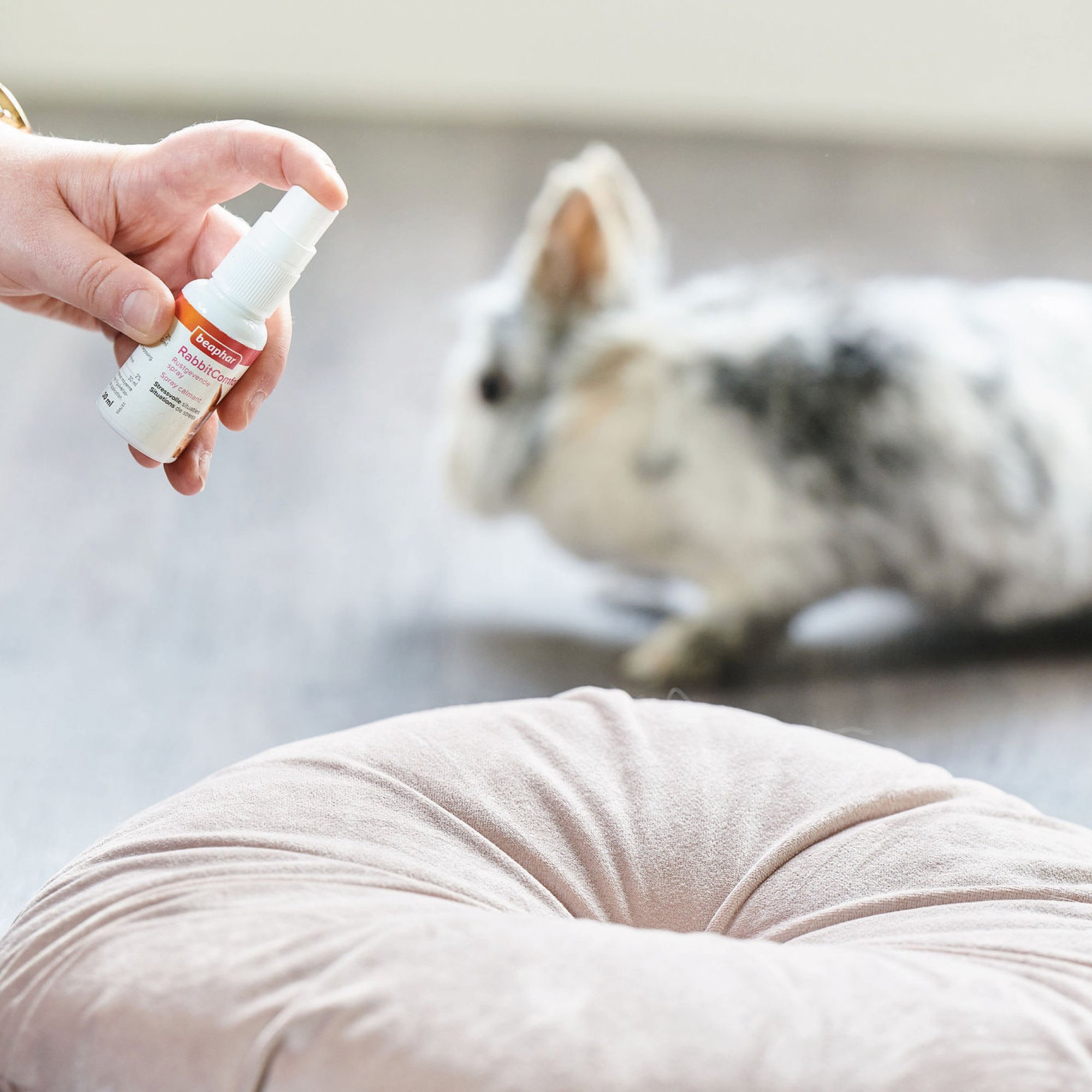 14994_Ecommerce_RabbitComfort-Spray_UK_2022-6.jpg