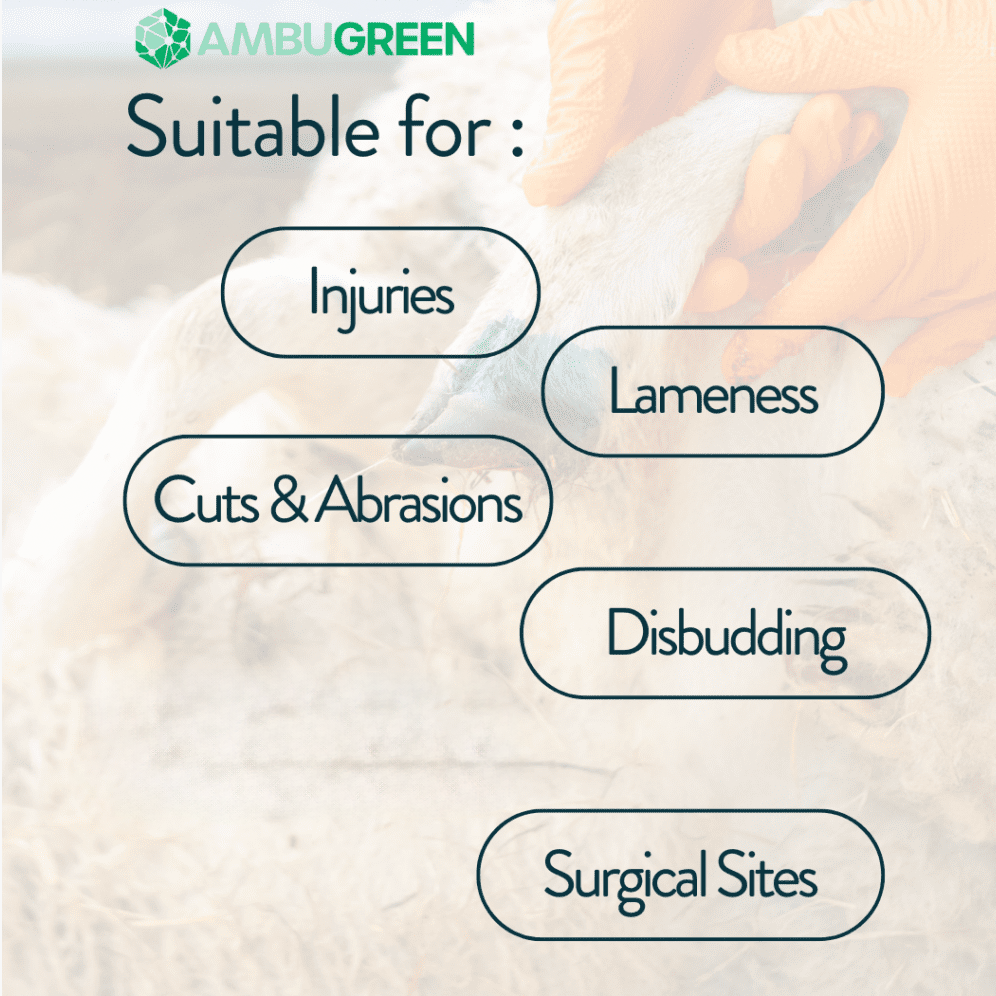 Ambugreen Uses.png