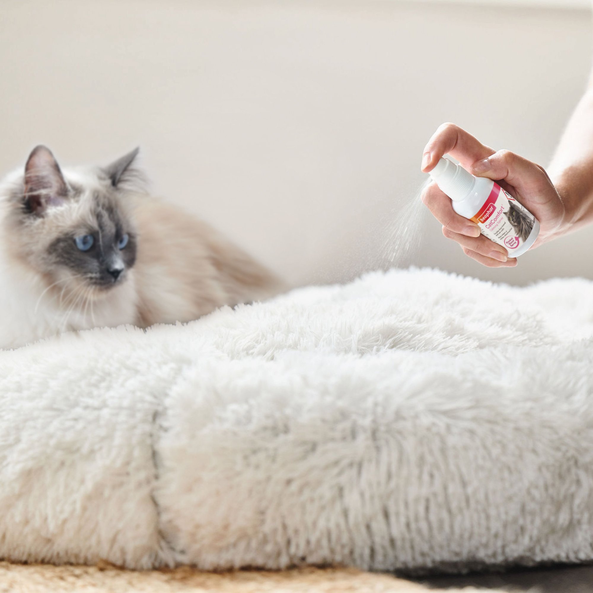 17125_Ecommerce_CatComfort-Spray_UK_2022-7.jpg