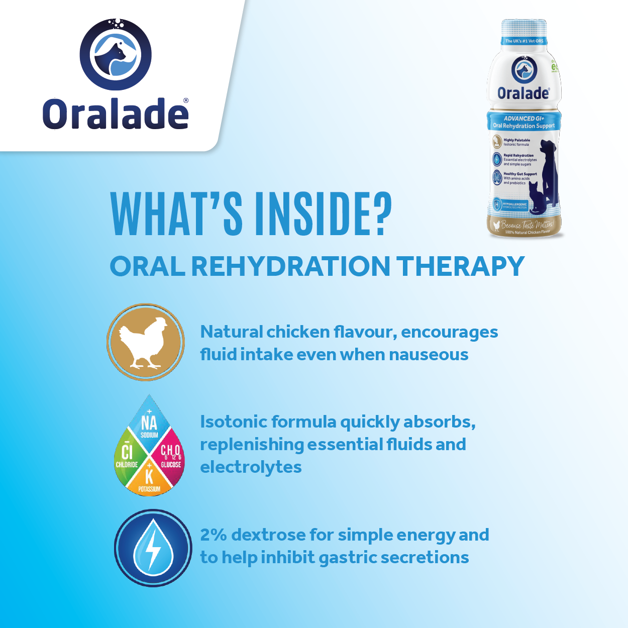 Oralade Tiles-07.png