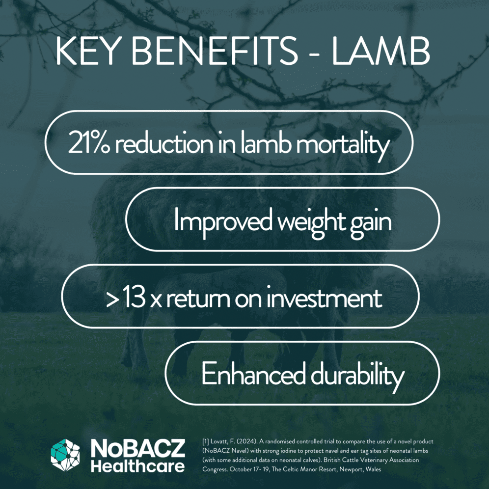 Key Benefits Lamb.png
