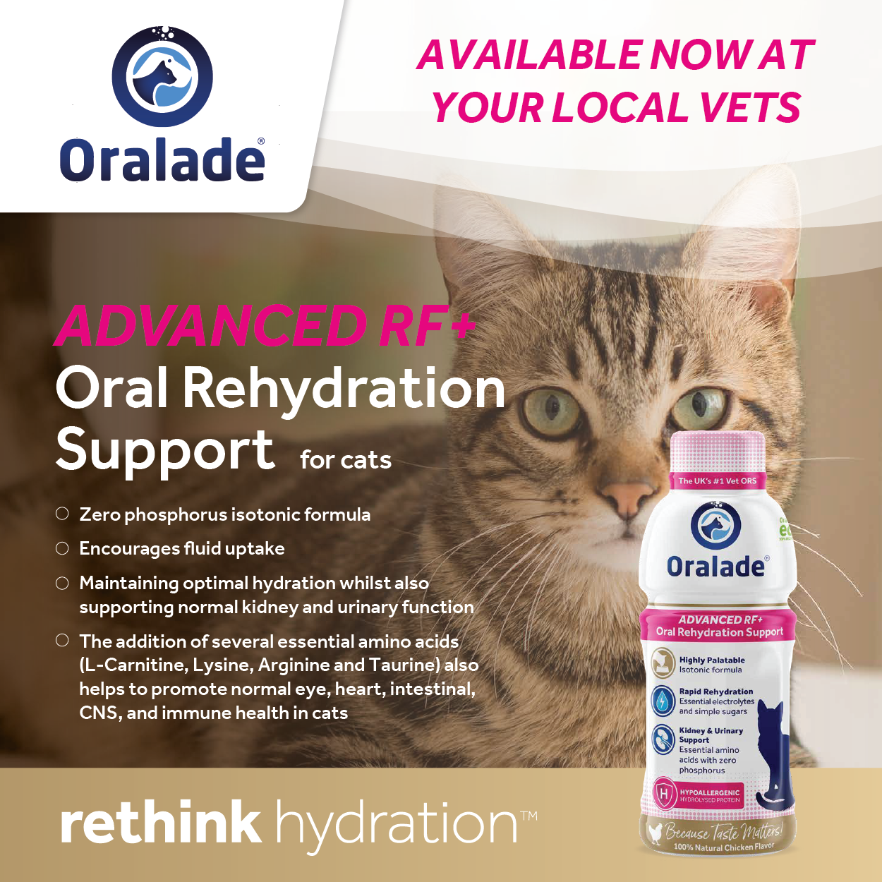 Oralade Tiles-02.png