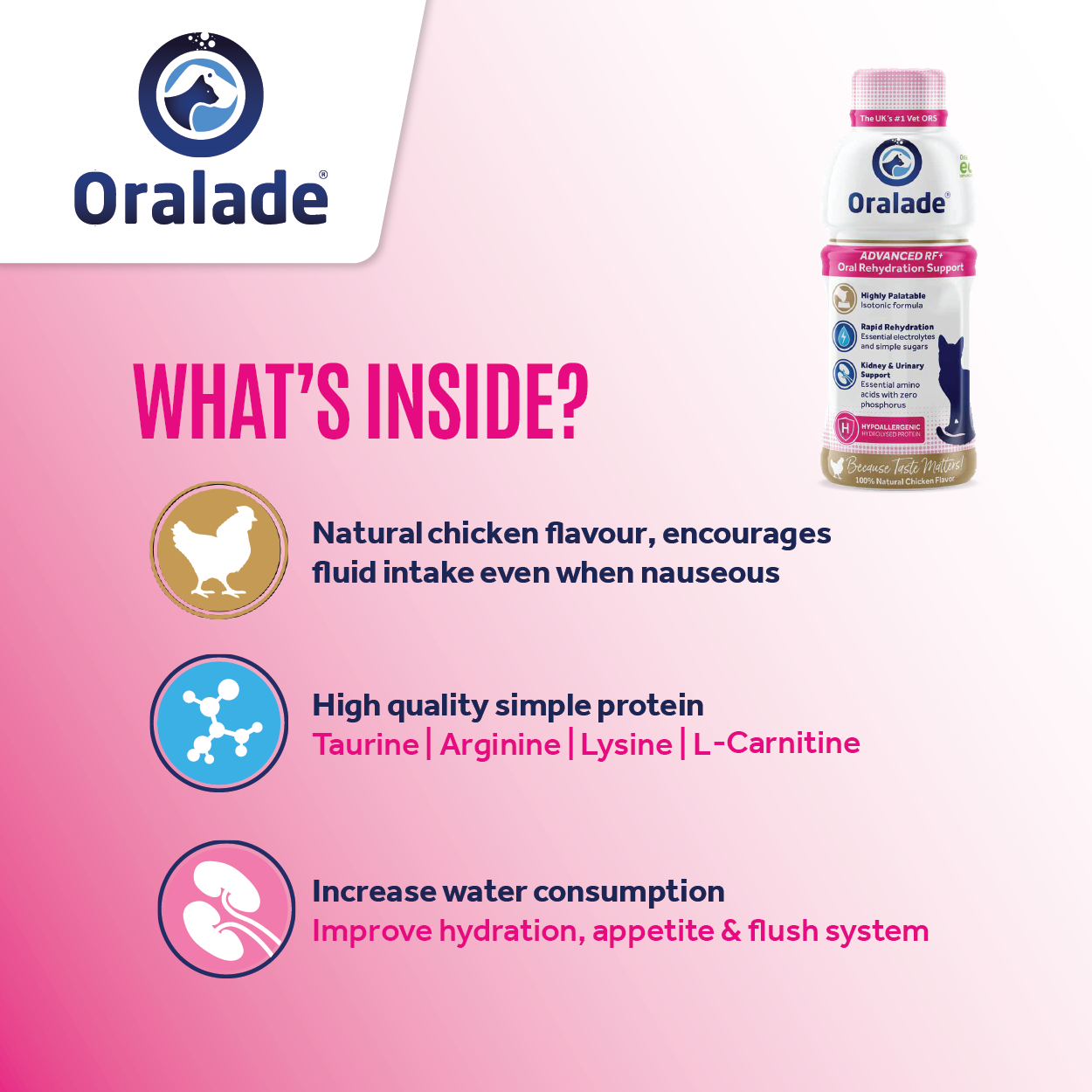 Oralade Tiles-09.png