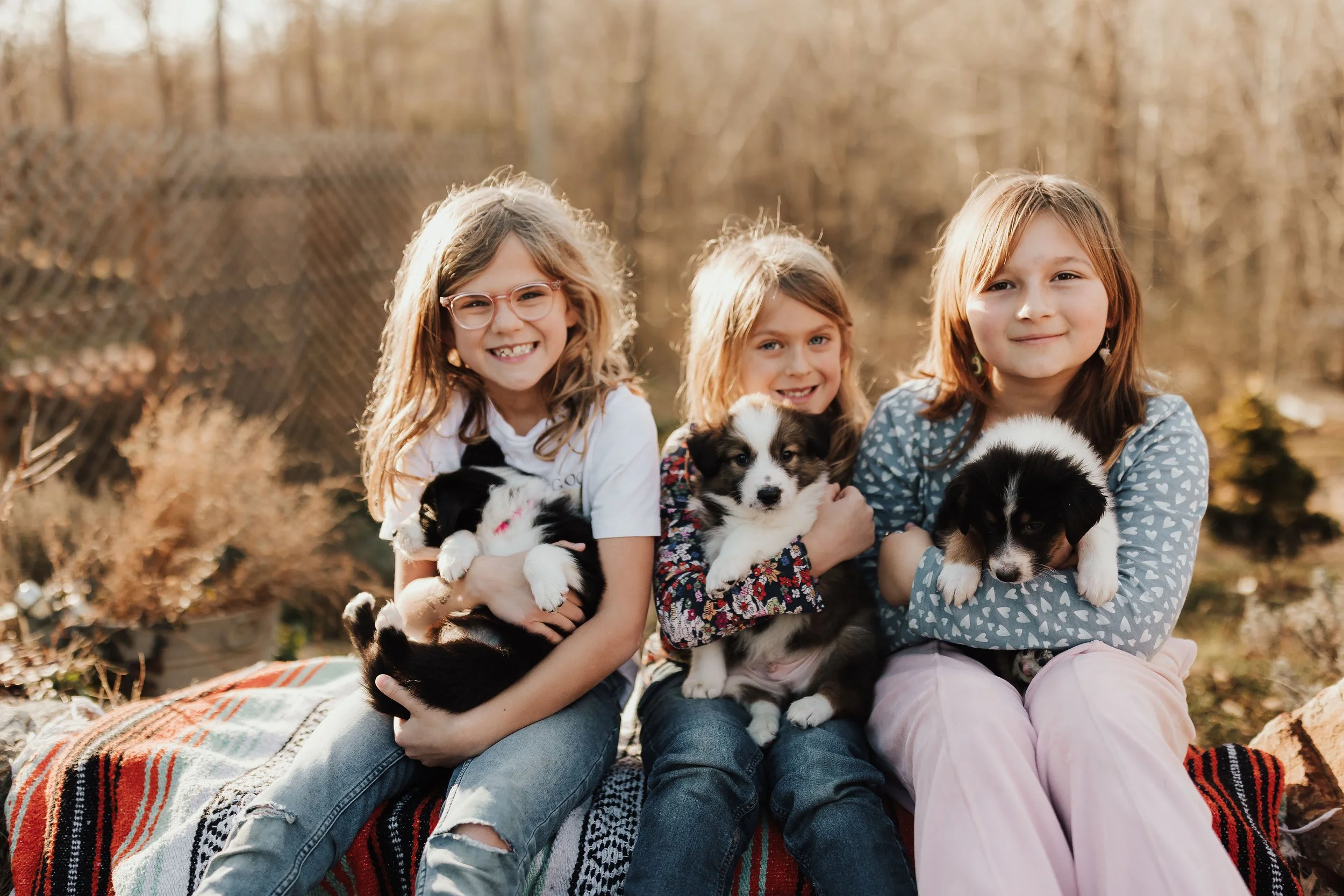Our pups are raised with lots of love and handling! 