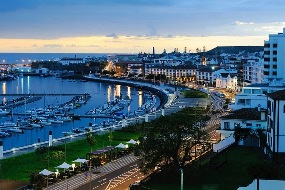 View of a marina with boats docked, a waterfront roadway, and a cityscape with buildings, some lit up, during dusk or dawn.