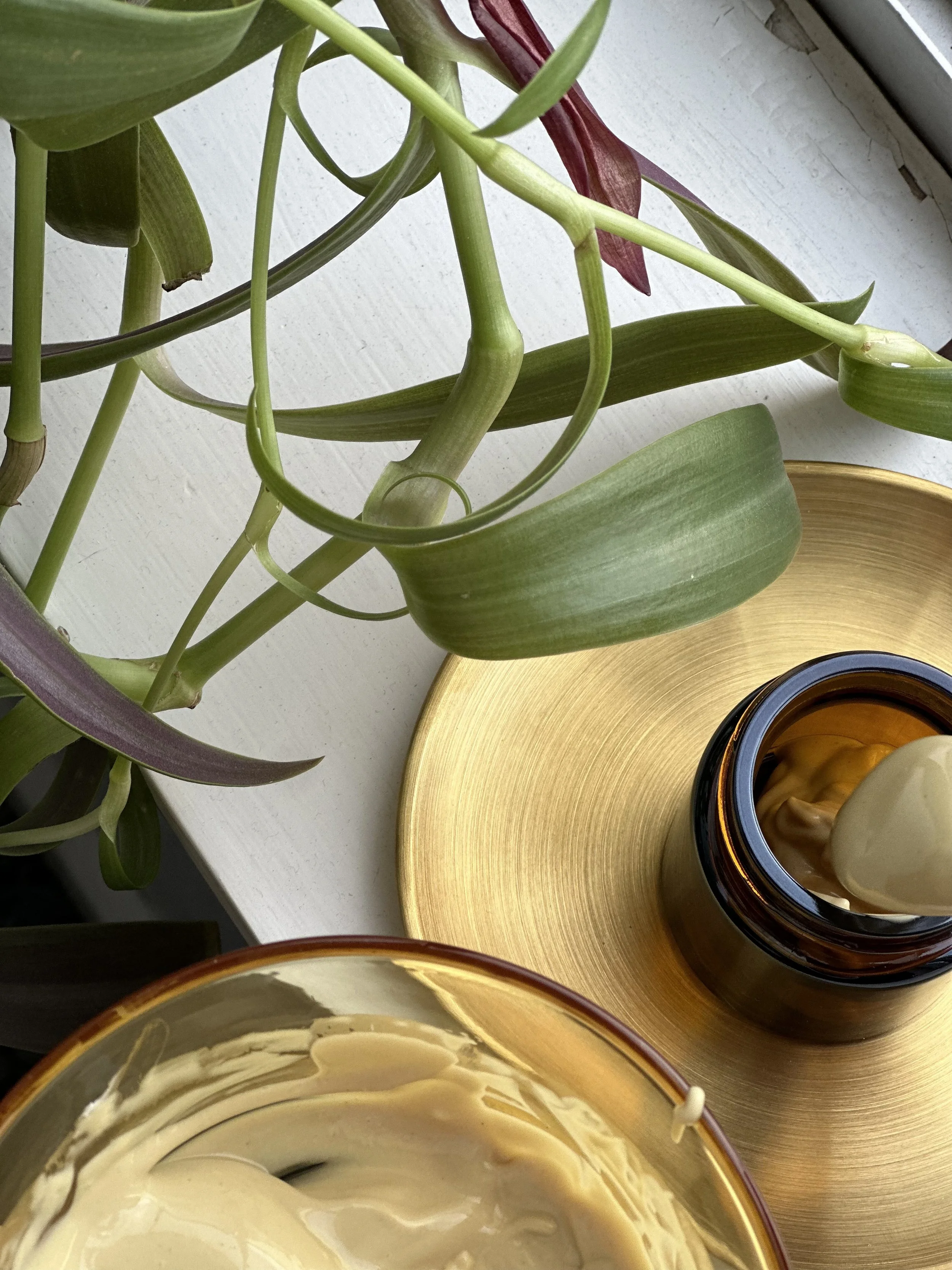 Close-up of a potted plant with green and purple leaves near a window, a gold round tray, and a dark glass container with a beige substance inside.