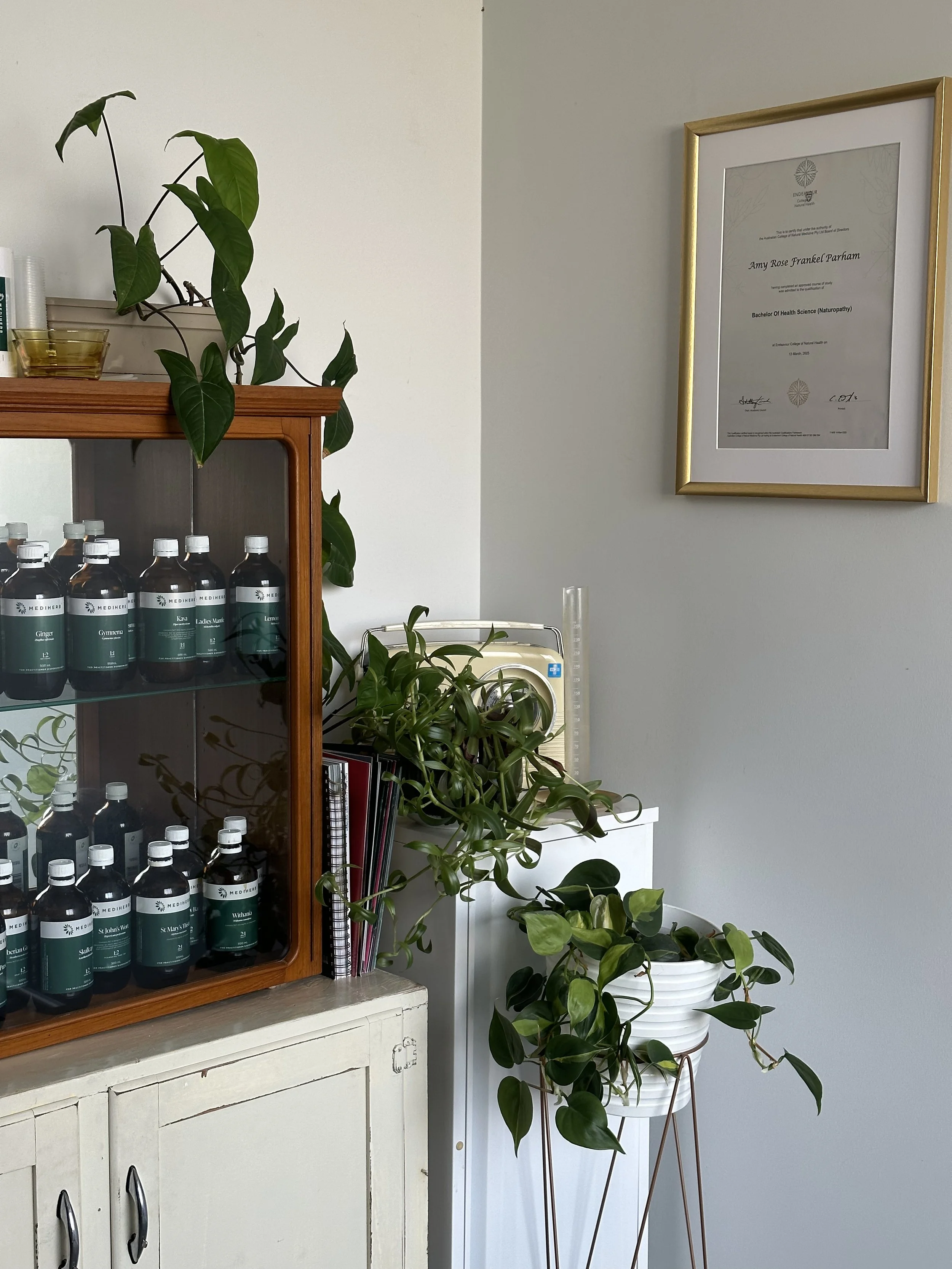 Interior corner of a room with framed diploma on wall, wooden cabinet filled with bottles, and several potted plants on stands and containers.