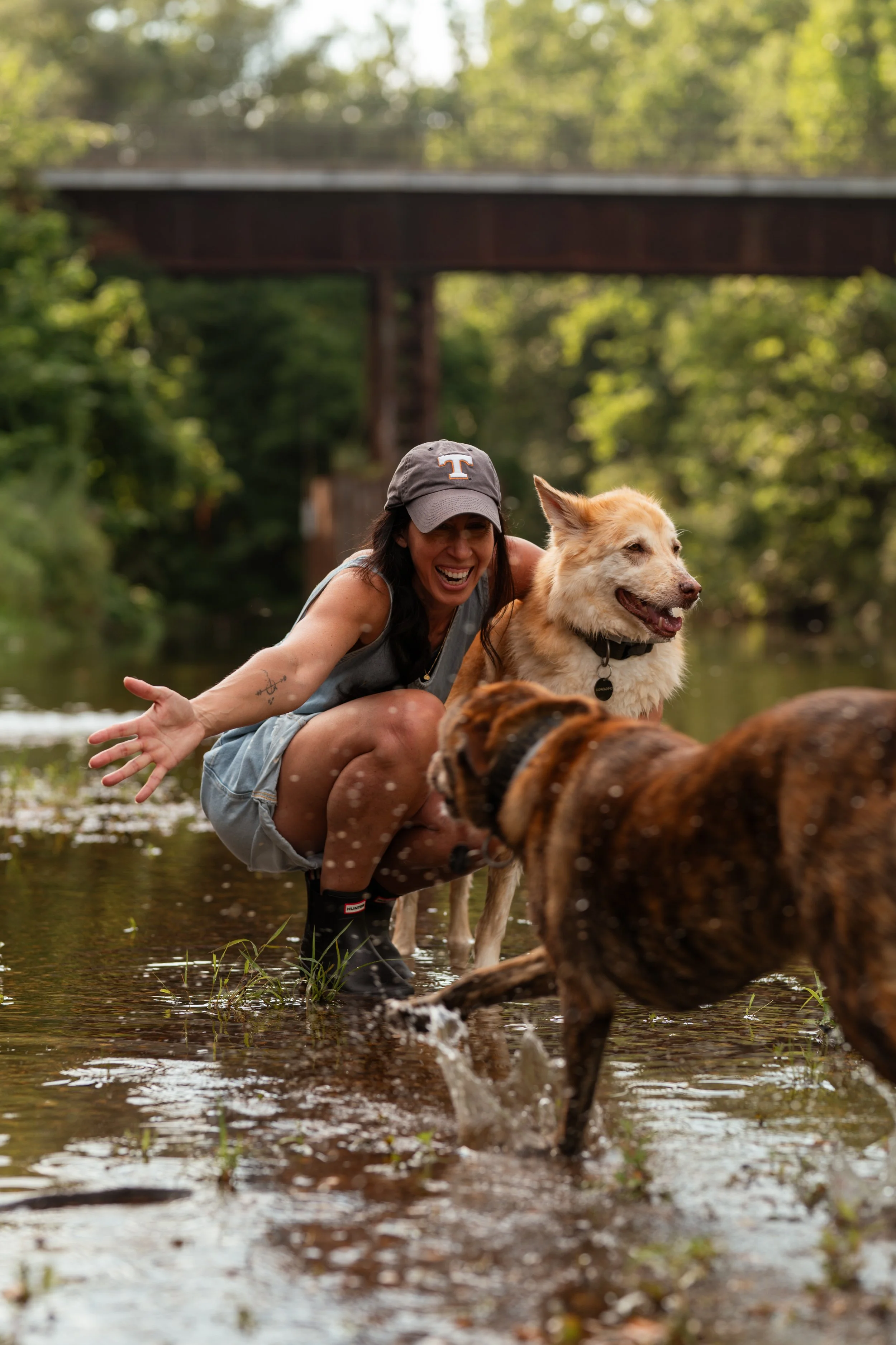 A woman and her dog wading through a shallow stream in a forest, with a bridge in the background.