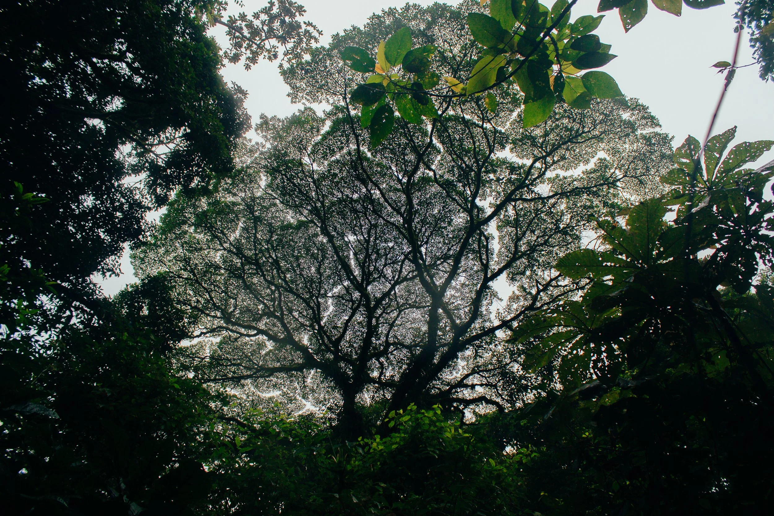 Costa Rica, La Fortuna