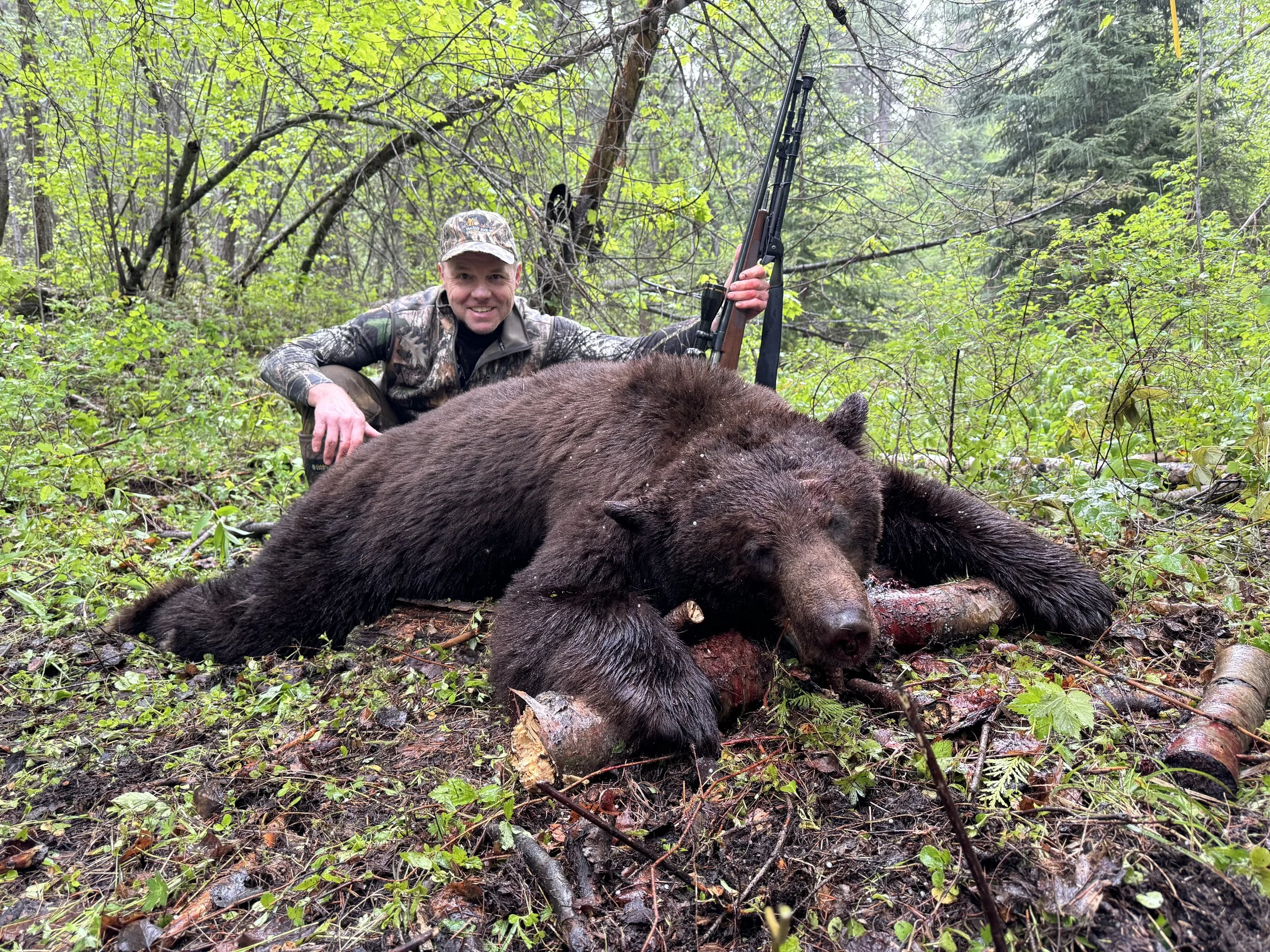 Black & Colour Phase Bear