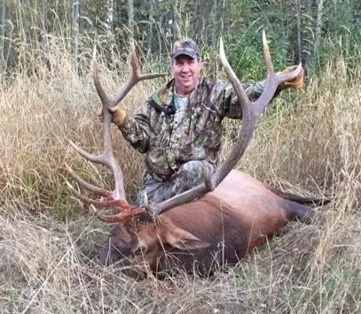 Rocky Mountain Elk