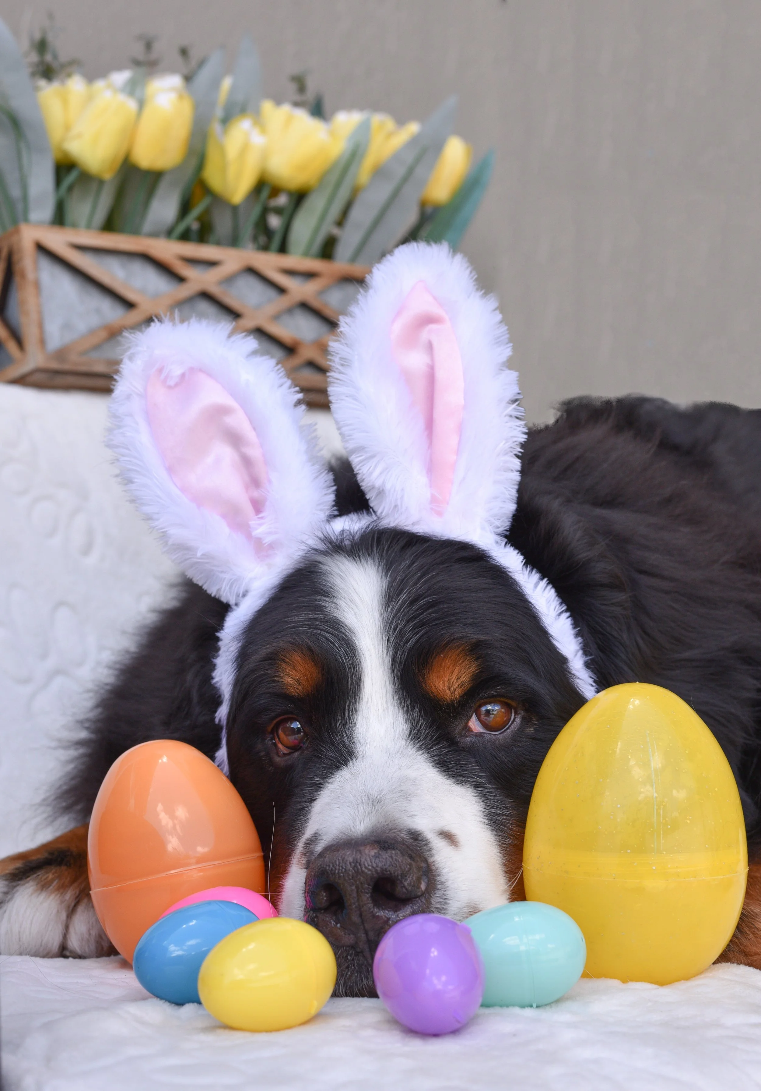 DSC_4640edit (1).jpg