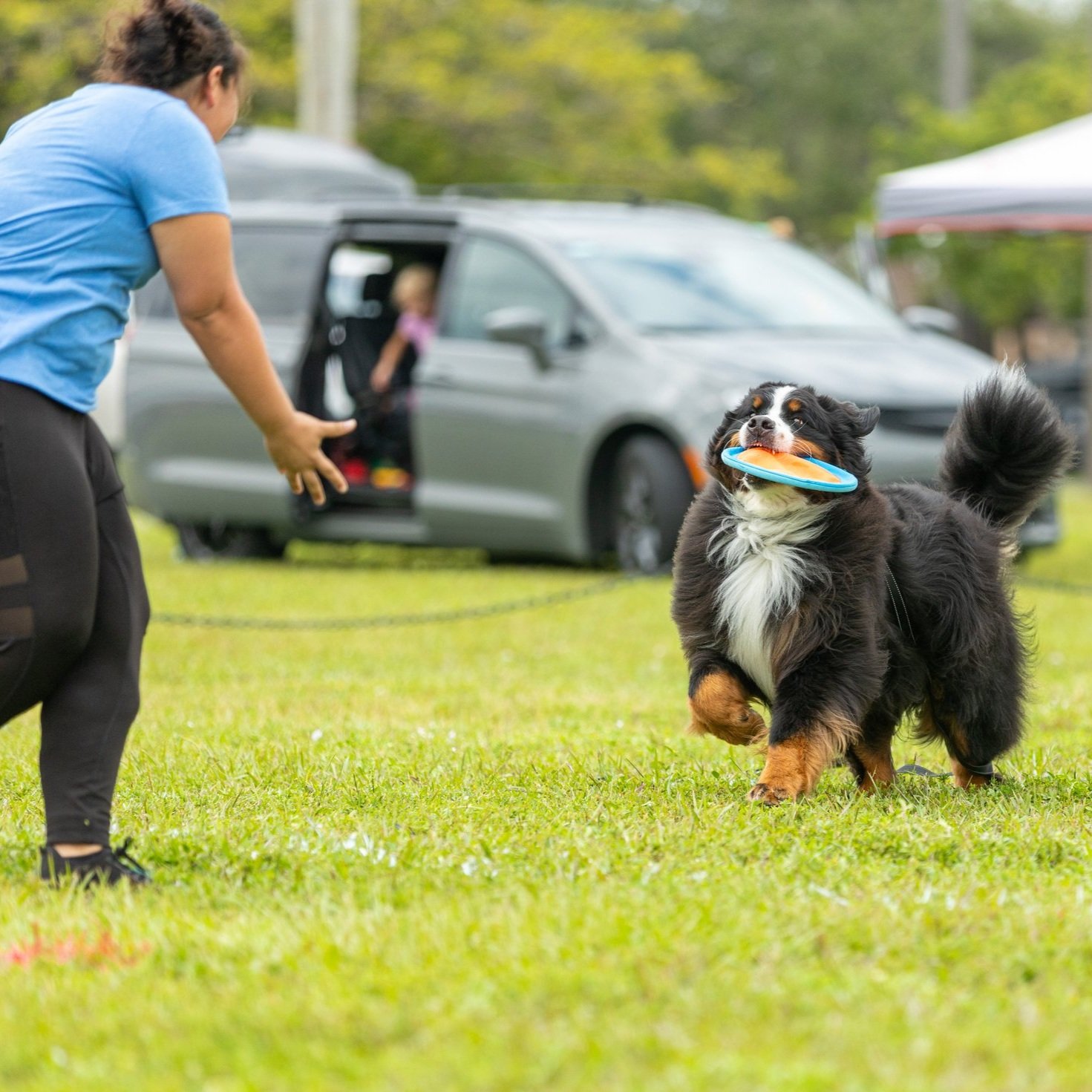 UpDog Saturday Davie-324.jpg
