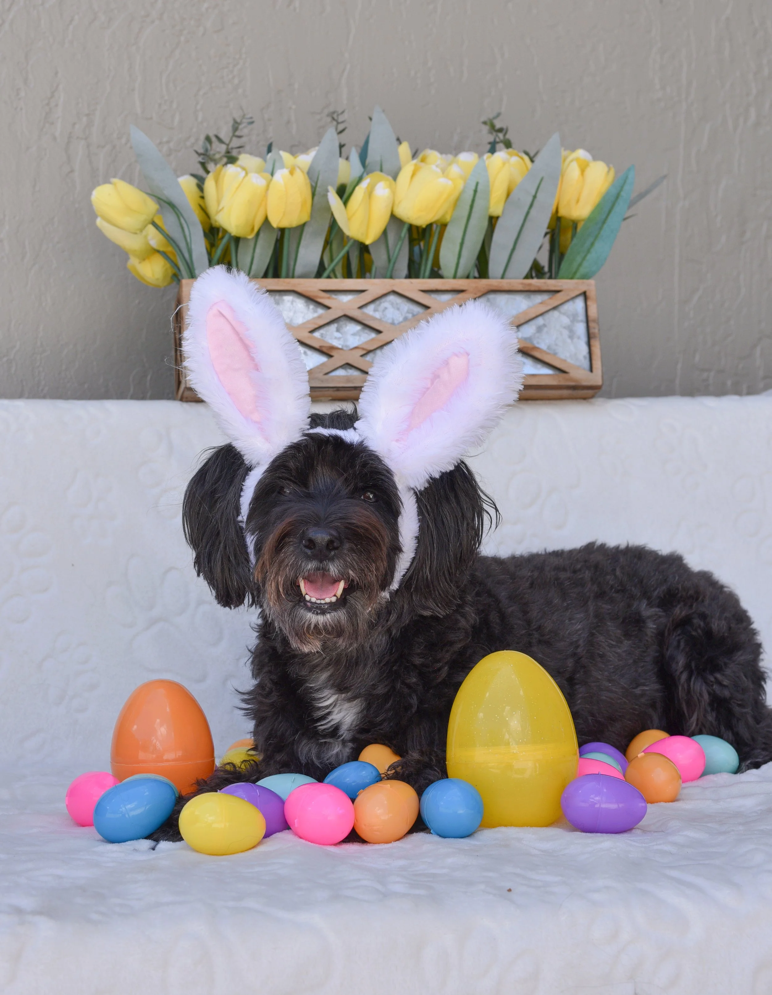 DSC_4646EDIT (1).jpg